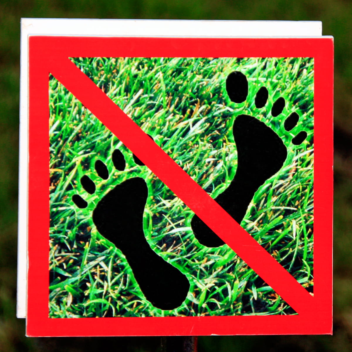 foot-print, 480P, social issues, plant, attention, close-up, block, shape, track, indoors, step, foot, communication, shoe, red, warning sign, sign, green color, Phone HD Wallpaper