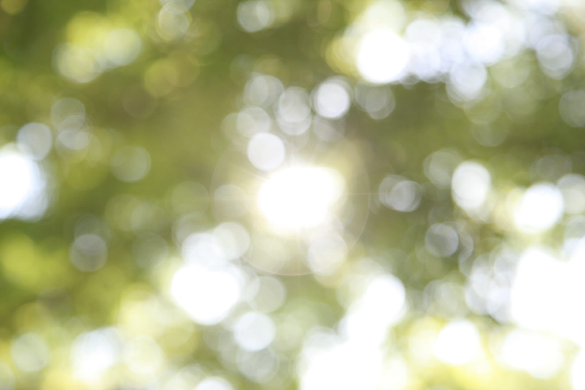 nature, light - natural phenomenon, textured effect, wood, landscape, no people, sunshine, celebration, sky, light, light mens wool, defocused, textured, HD Wallpaper
