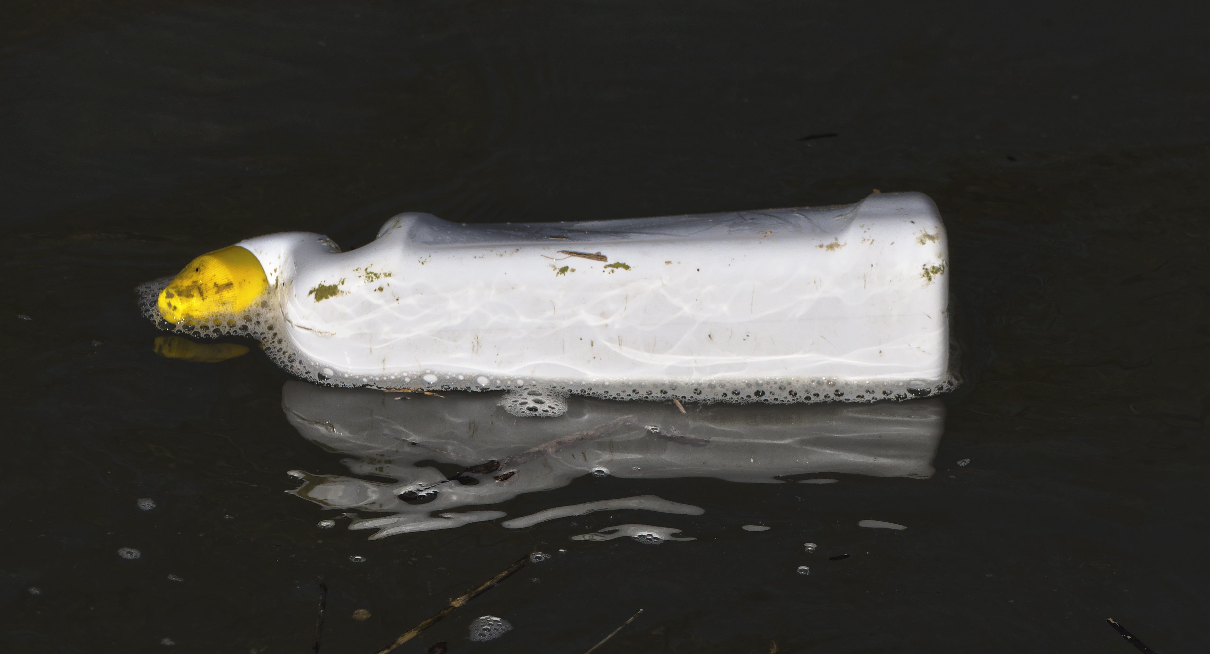 floats, bottle, water, studio shot, spotty, close-up, nature, wellbeing, still life, dairy product, temptation, gooseneck, no people, melting, dirty, sweet food, HD Wallpaper