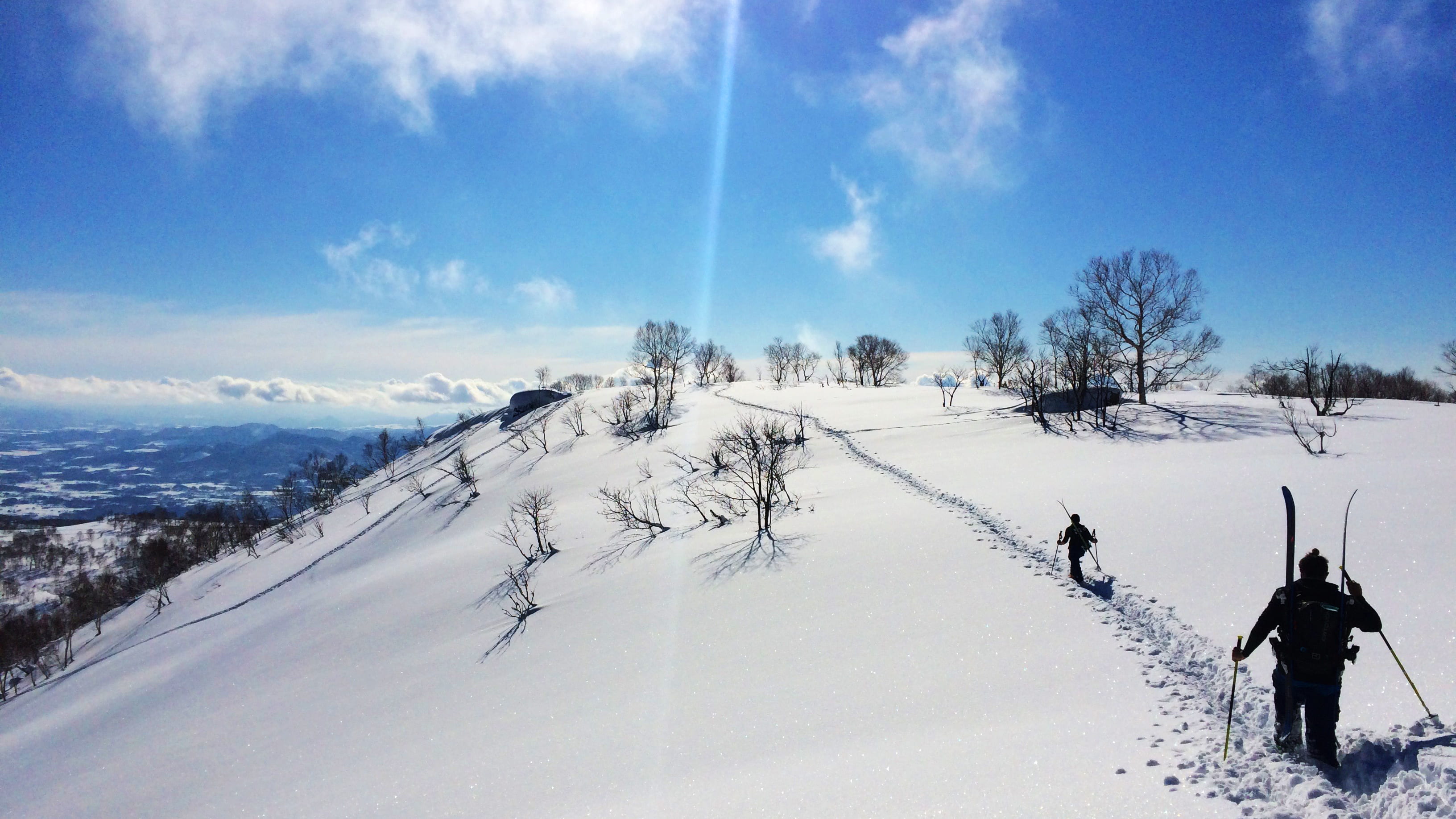 beauty in nature, cold temperature, outdoors, 2K, white color, day, winter, people, photography, covered, landscape, tree, skiing, scenics - nature, non-urban scene, HD Wallpaper