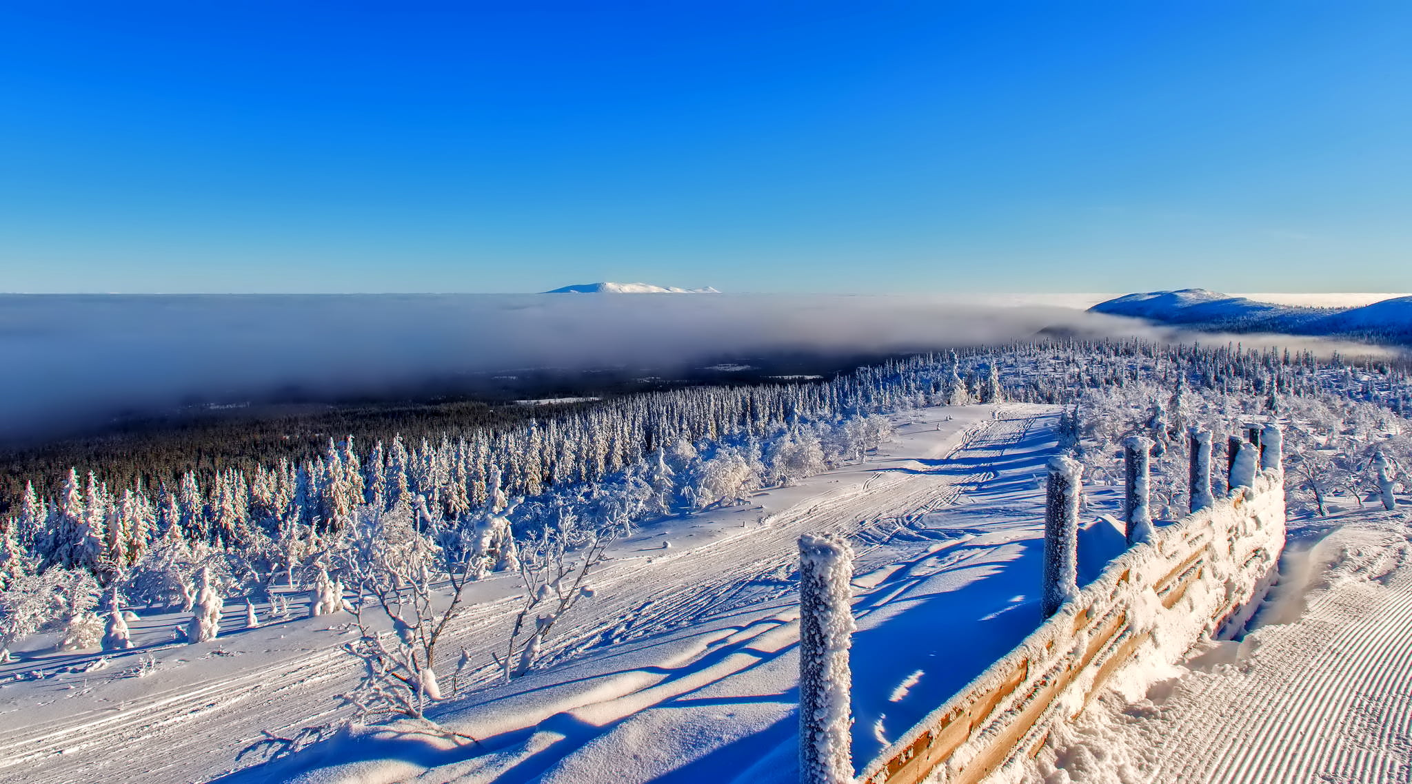 trail, ski Track, land, scenics - nature, landscape, sky, skiing, vacations, ski, no People, plant, winter Sport, nature, tree, tranquil scene, panoramic, HD Wallpaper