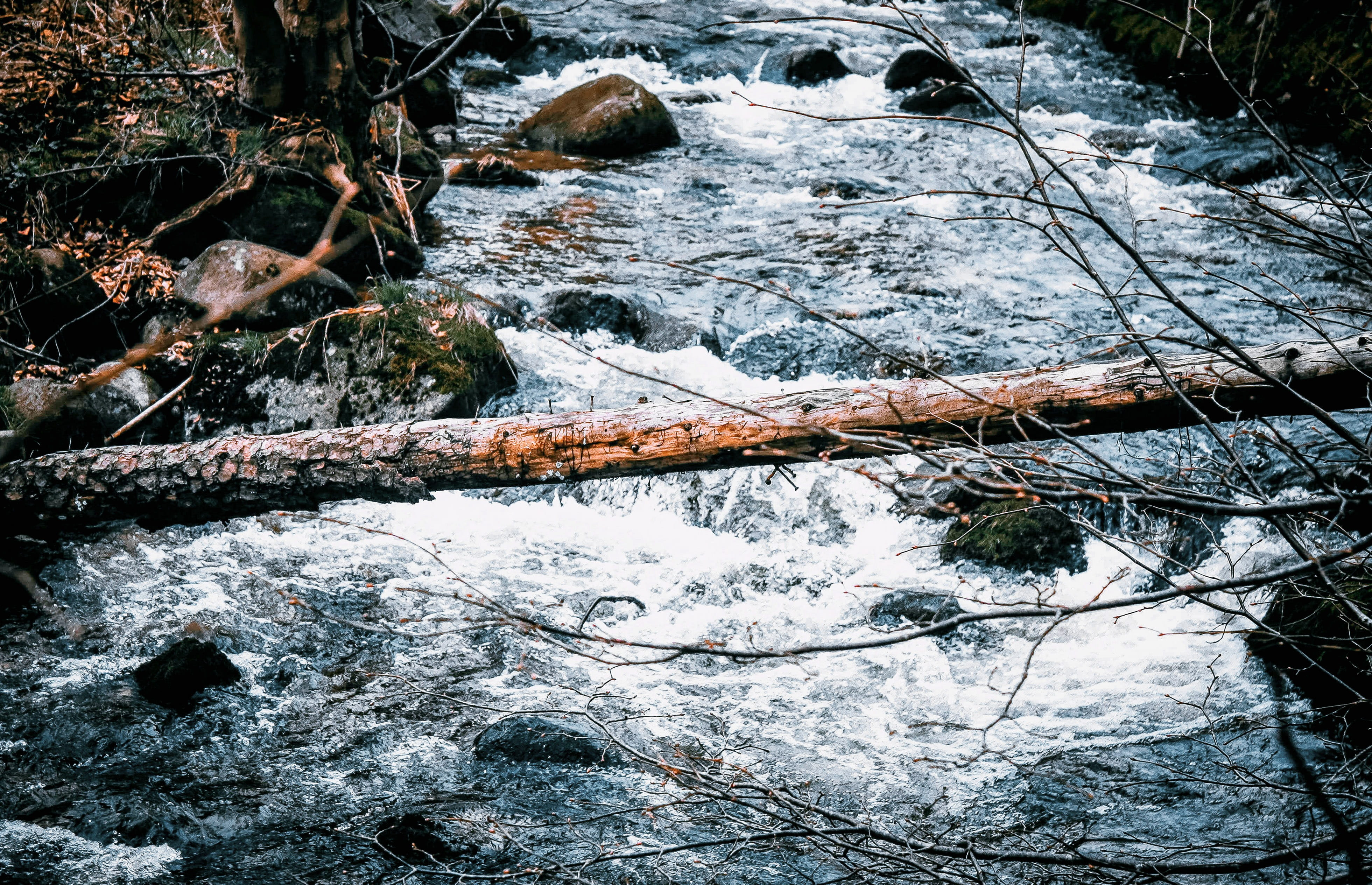the stones, log, stream - flowing water, forest, current, plant, nature, dangerous, rock, tranquility, motion, boulders, brook, flowing water, land, m, HD Wallpaper