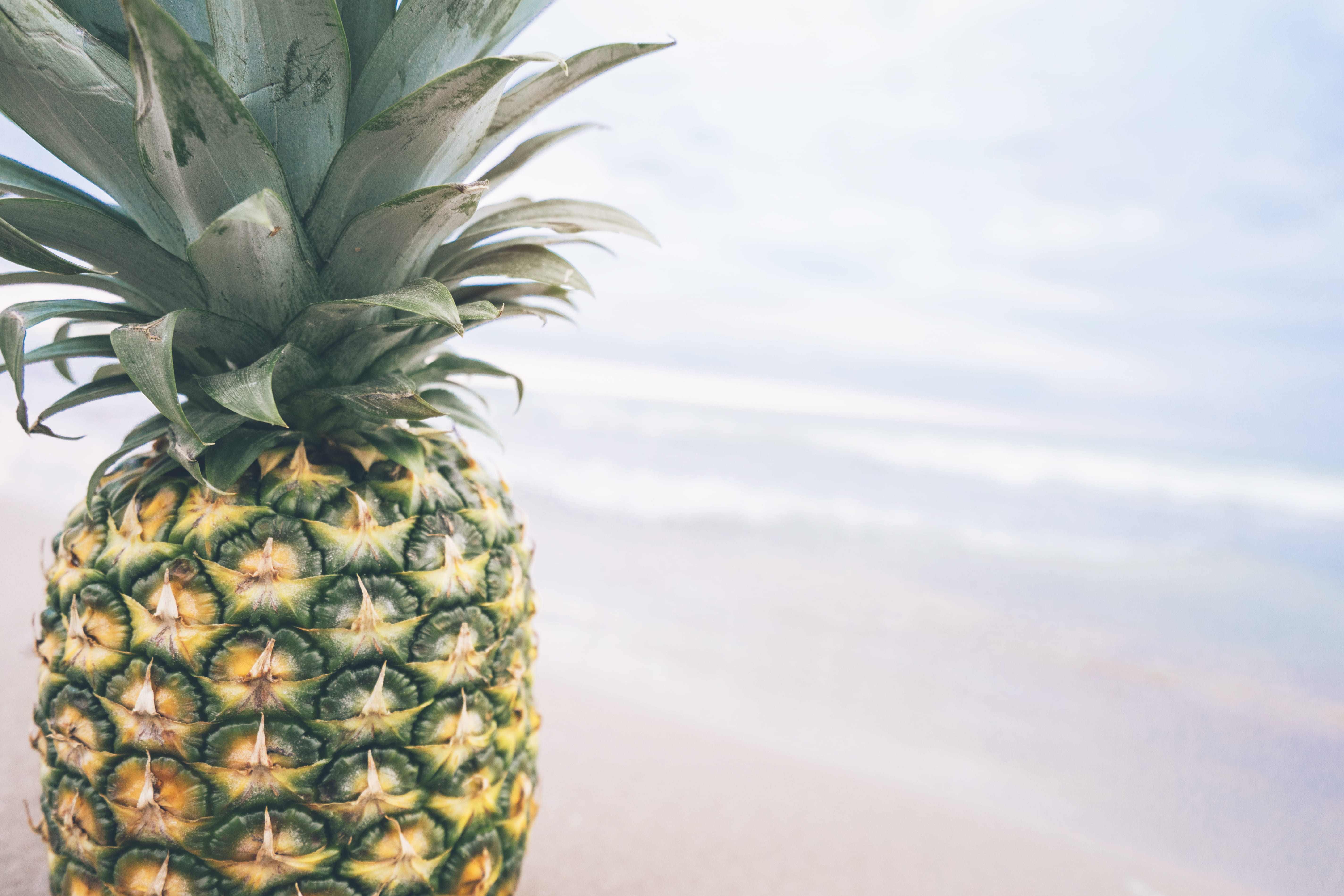 stupid, yellow, food and drink, body, fruit, land, still life, water, food, facing, close-up, freshness, nature, no people, 5K, focus on foreground, wellbeing, HD Wallpaper