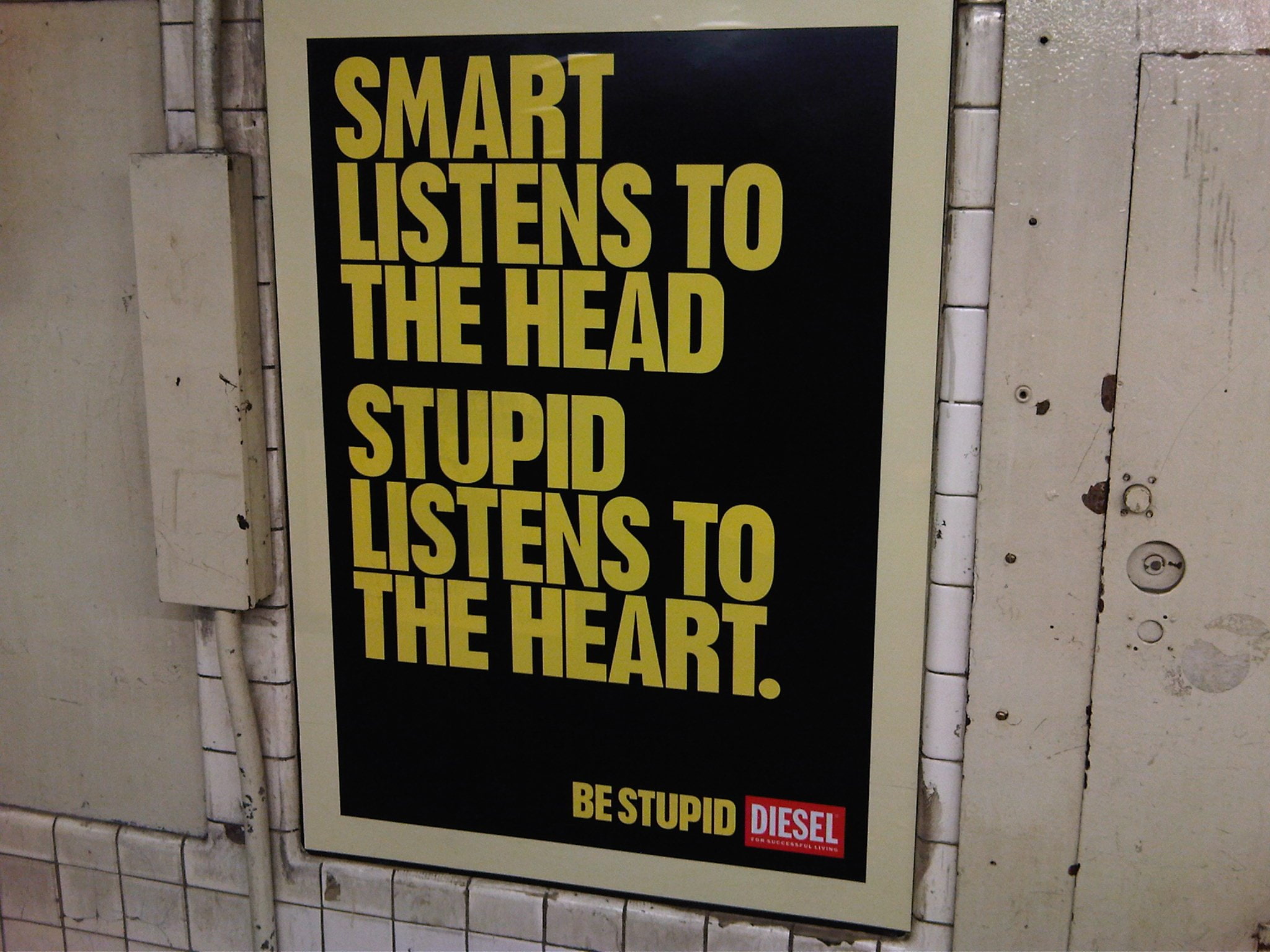 stupid, funny, sadic, 1080P, humor, HD Wallpaper