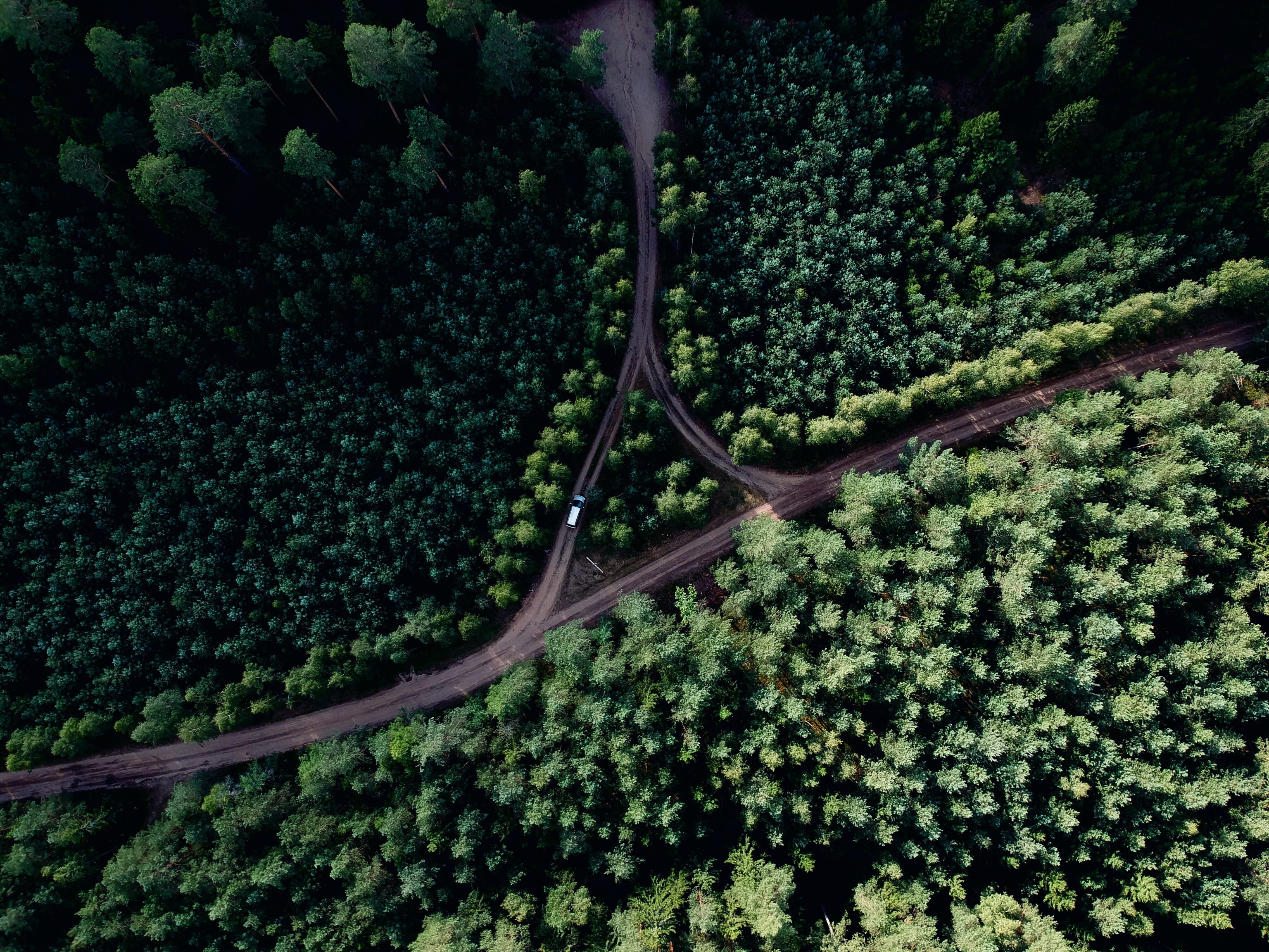 road, green, aerial, day, tranquil scene, landscape, 2K, photo, jungle, tree, scenery, outdoors, scenics - nature, aerial view, transportation, HD Wallpaper