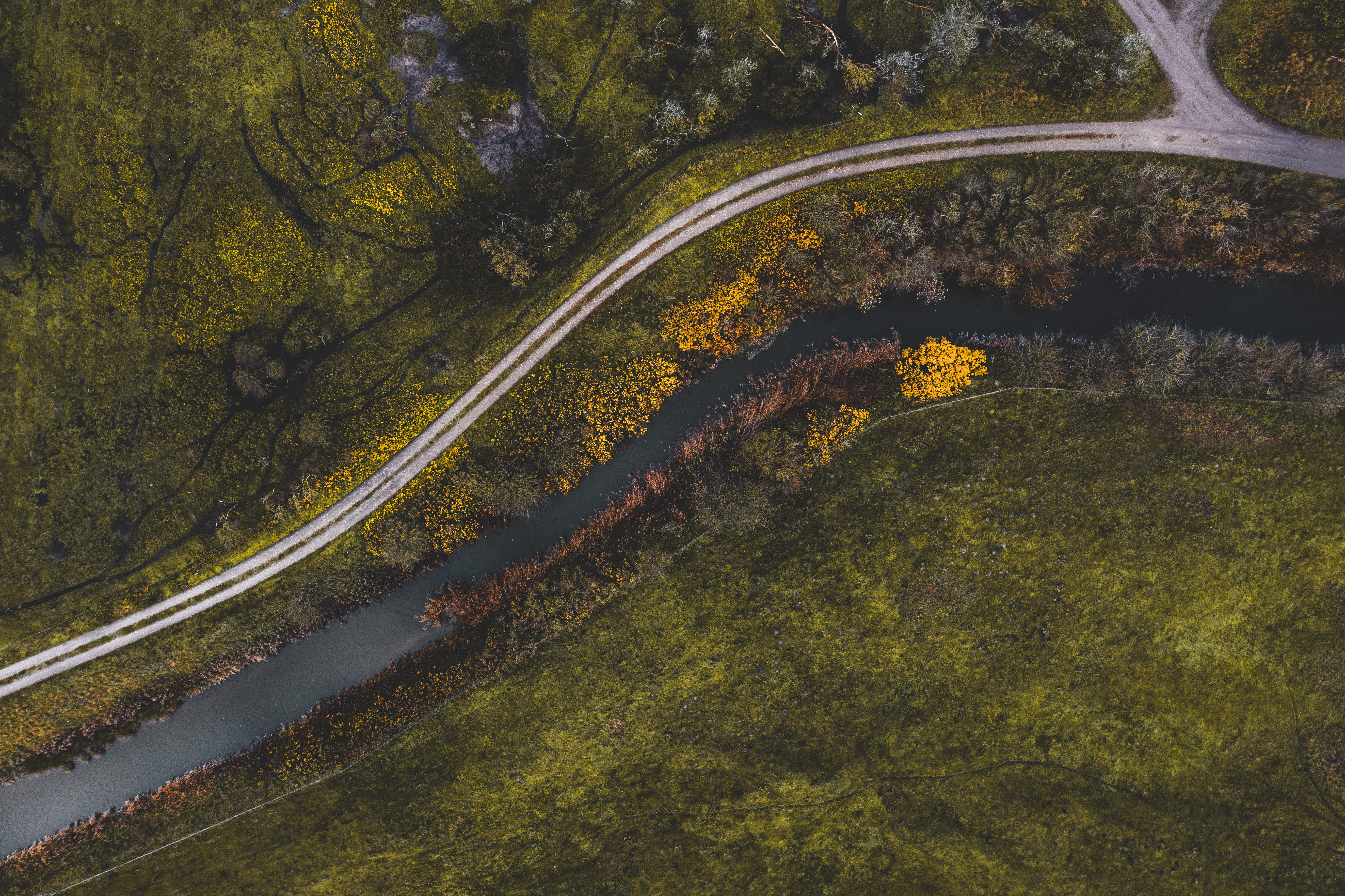 scenics - nature, road, non-urban scene, tree, backgrounds, growth, transportation, high angle view, beauty in nature, day, leafed, forest, scenery, 5K, HD Wallpaper