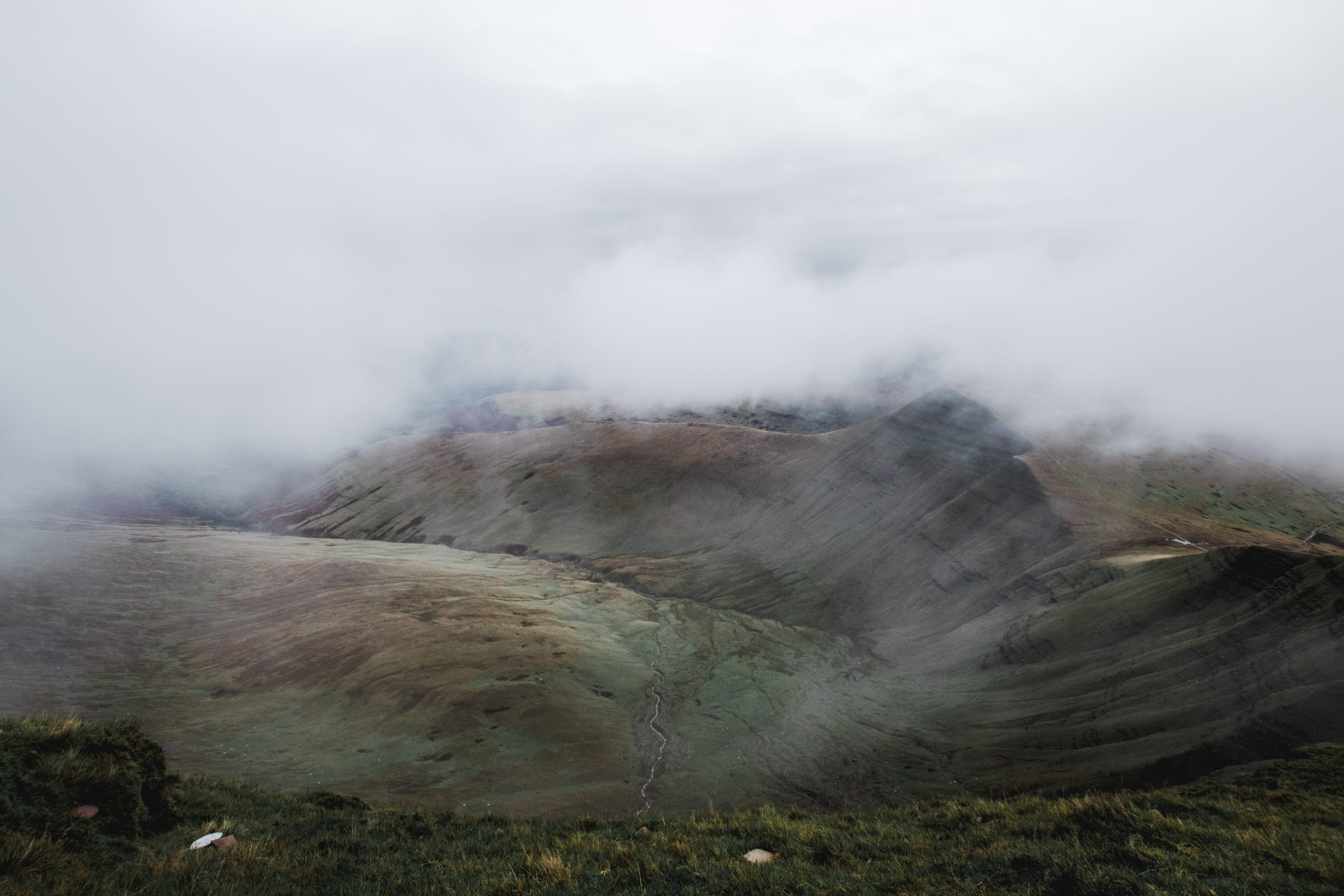 physical geography, bird, weather, computer backgrounds, mountain, landscape, white, scenery, power in nature, plateau, nature, fog, environment, HD Wallpaper