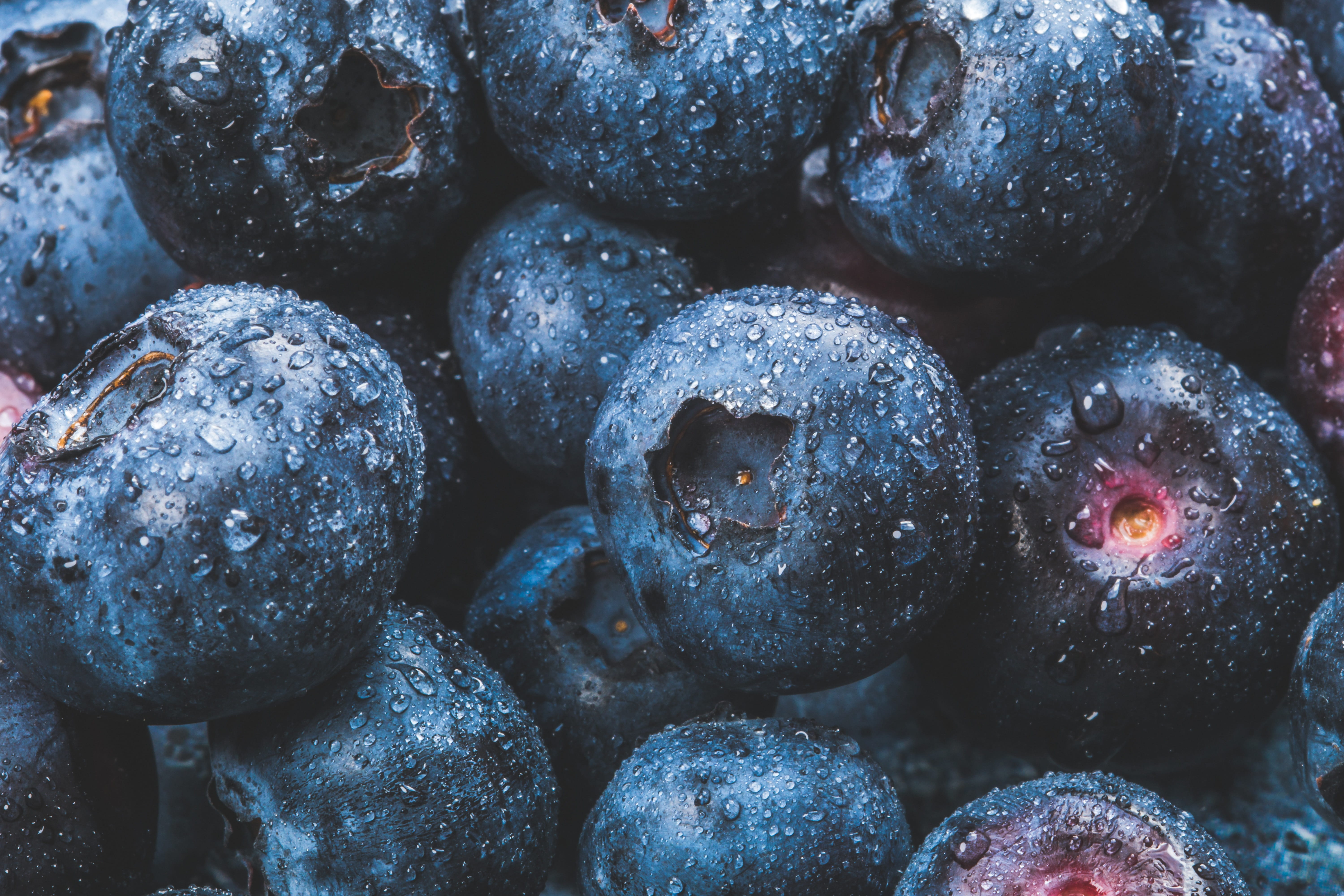 large group of objects, indoors, 5K, healthy eating, blueberries, juicy, food, berry, healthy, no people, fruit, close-up, backgrounds, food and drink, HD Wallpaper