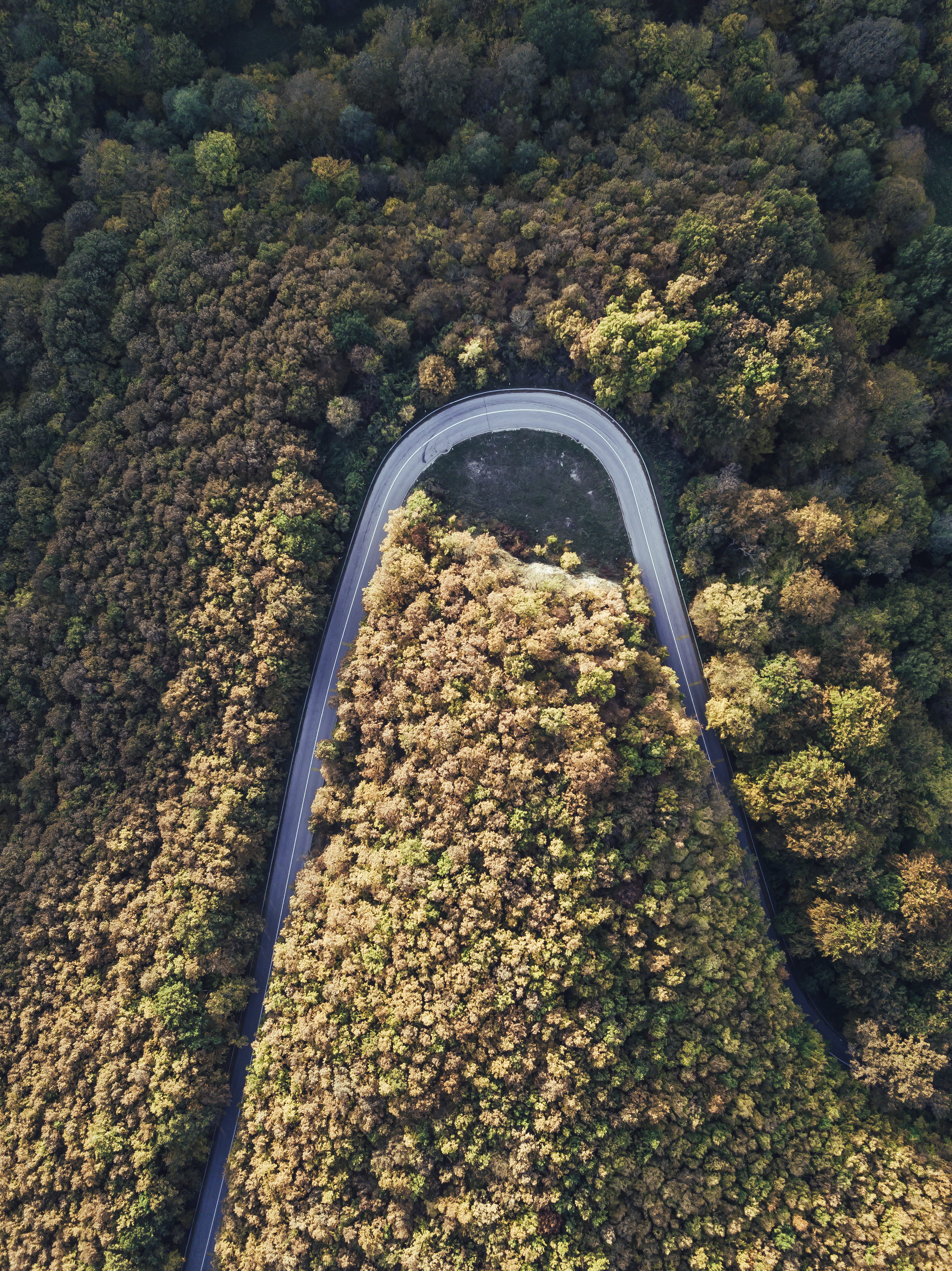 growth, mode of transportation, land, backgrounds, day, nature, computer backgrounds, hd, scenery, high angle view, transportation, Phone HD Wallpaper