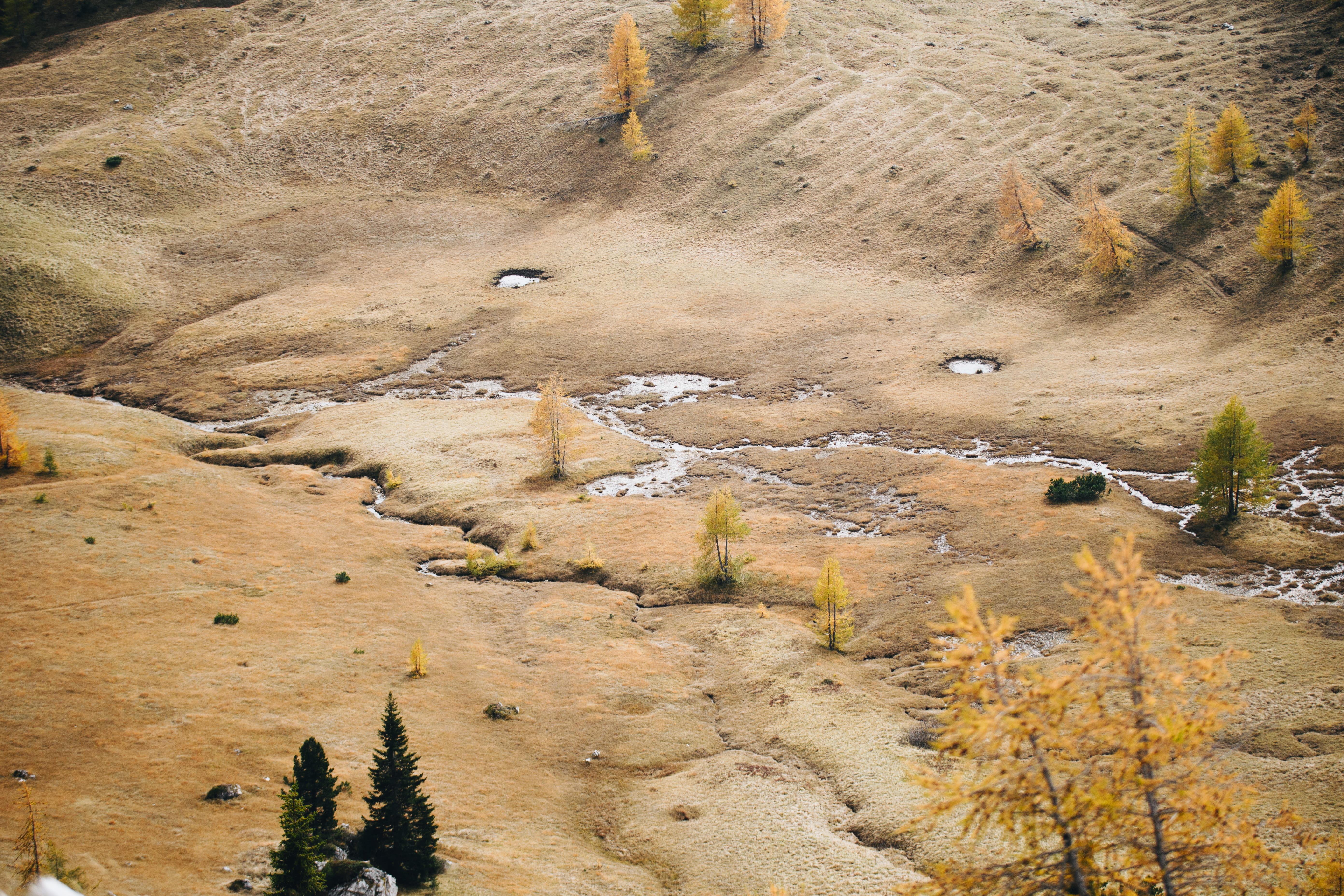 tranquil scene, ground, hd, larch, tranquility, geology, day, rock - object, nature, tree, climate, rock, arid climate, wilderness, scenics - nature, HD Wallpaper