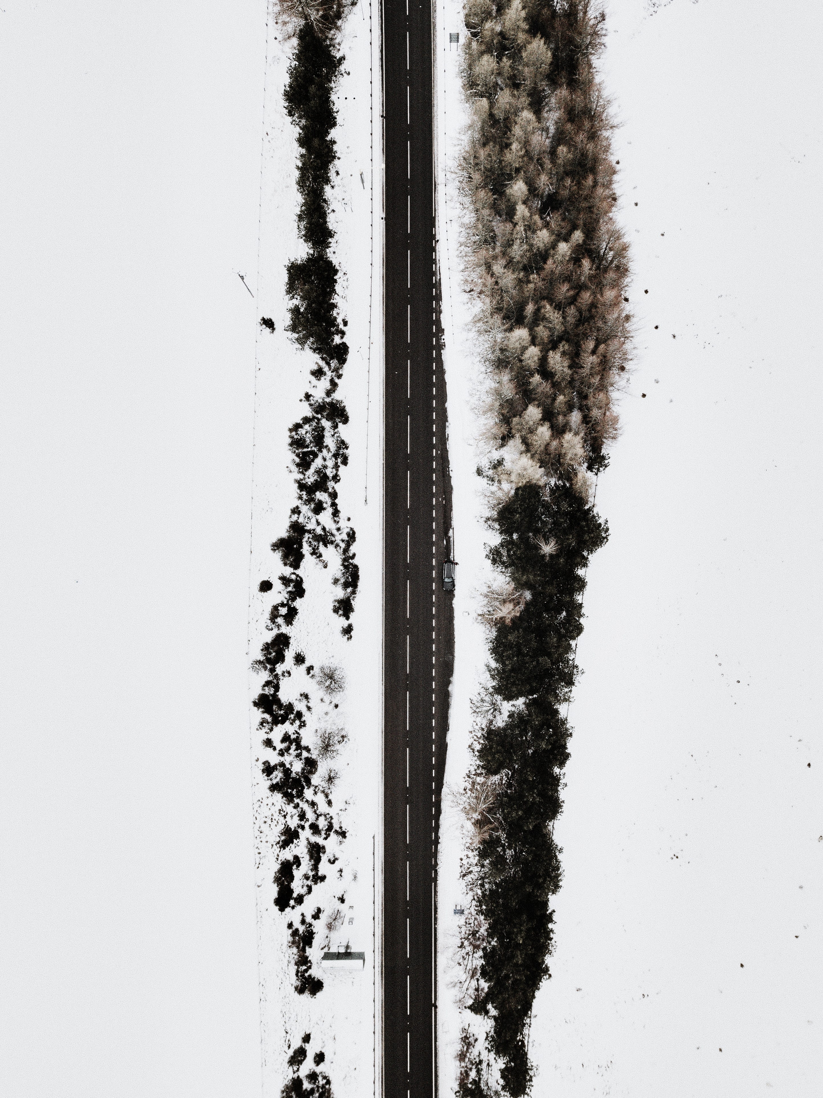 spice, land, covering, environment, soil, plant, factory, cold temperature, roadway, winter, high angle view, cool backgrounds, 4K, tree, beauty in nature, Phone HD Wallpaper
