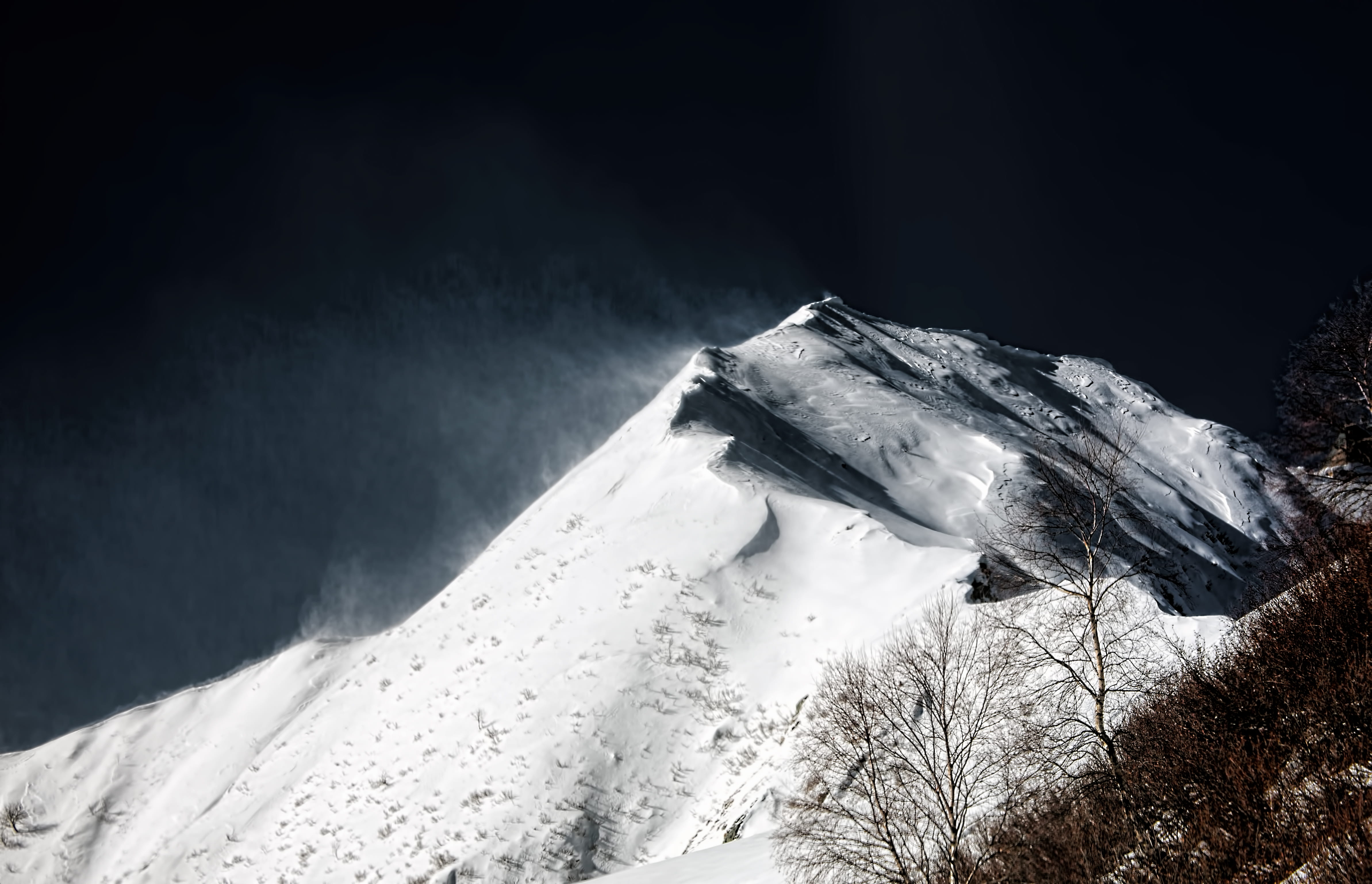 bird, tranquil scene, landscape, tree, winter, beauty in nature, ice, snowcapped mountain, scenics - nature, switzerland, white color, plant, frozen, mountain range, HD Wallpaper