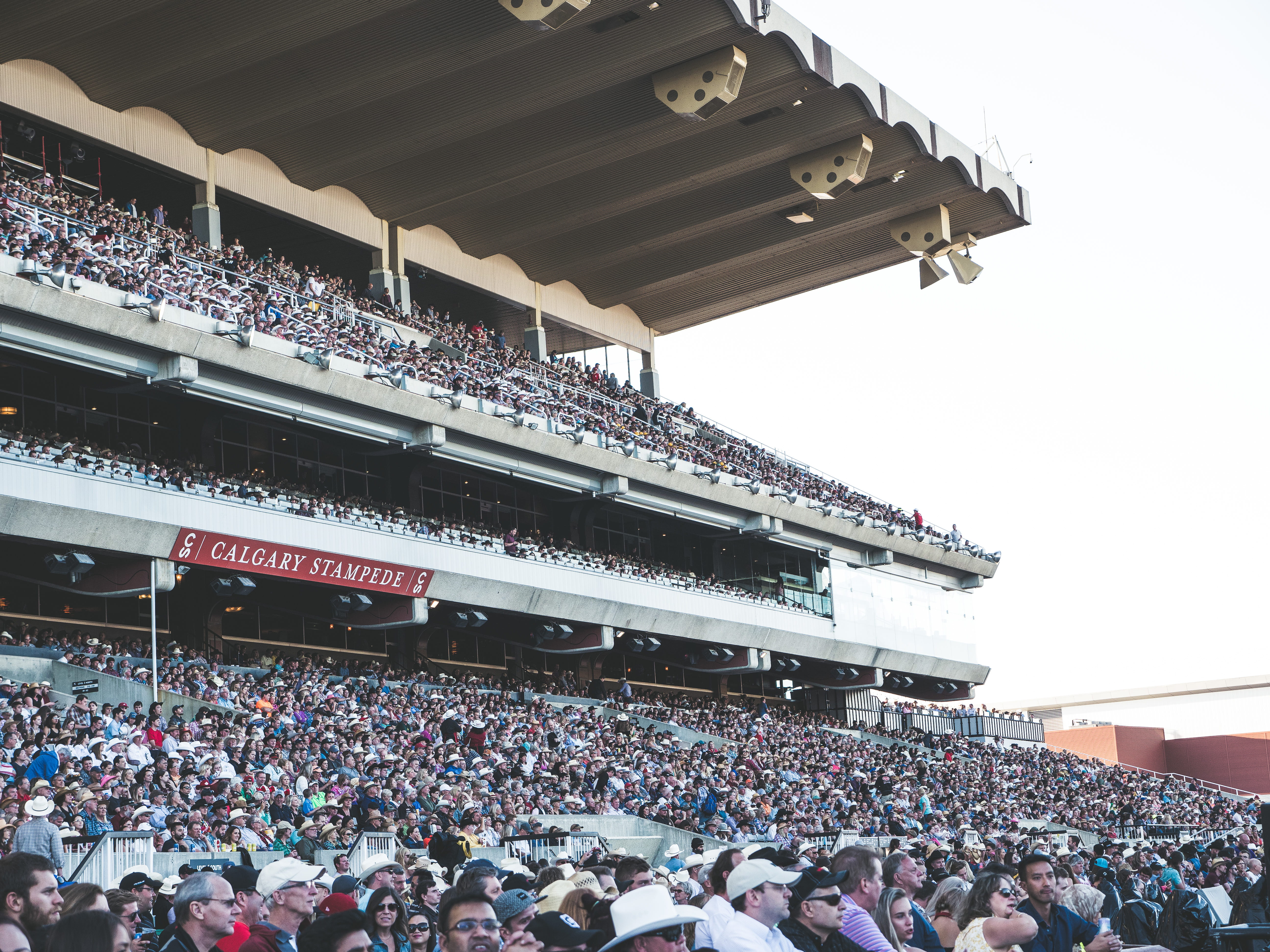 large group of people, lifestyles, canada, person, watching, arts culture and entertainment, grandstand, inside, men, scoreboard, fans, people, chuckwagon racing, HD Wallpaper