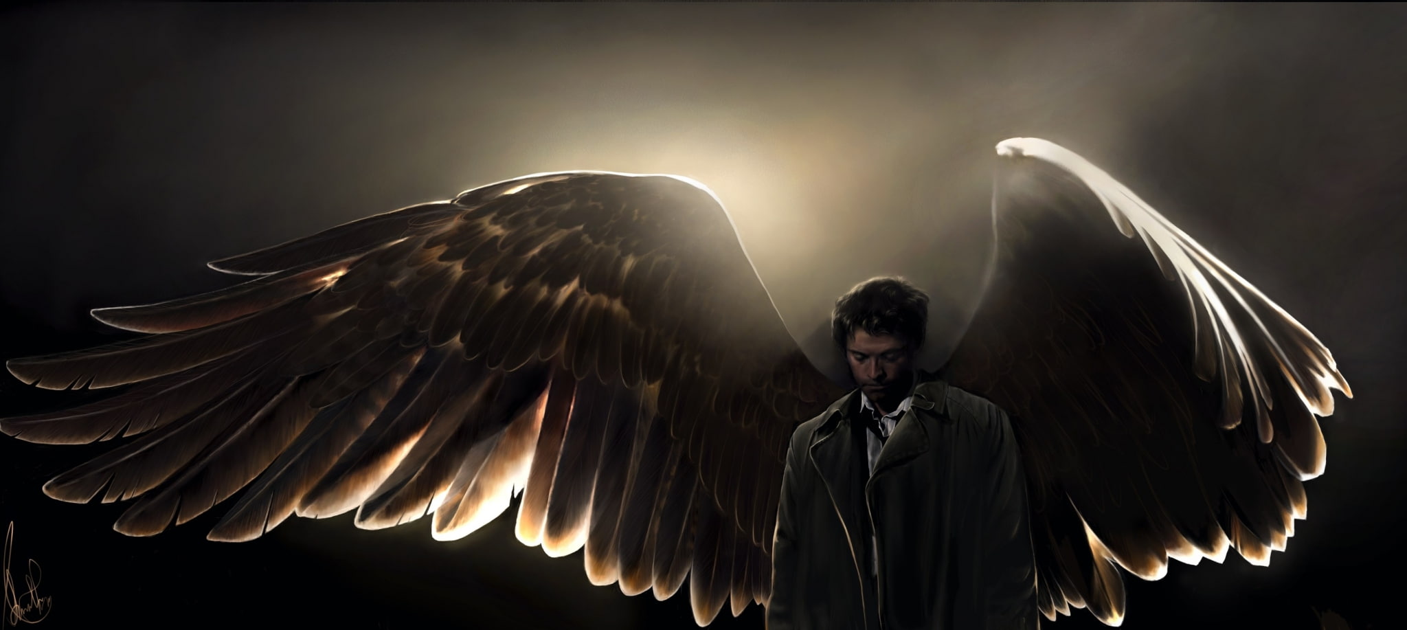 animal wing, animal body part, black background, supernatural hd widescreen  backgrounds, bird, young adult, spread wings, human limb, one person, front view, HD Wallpaper
