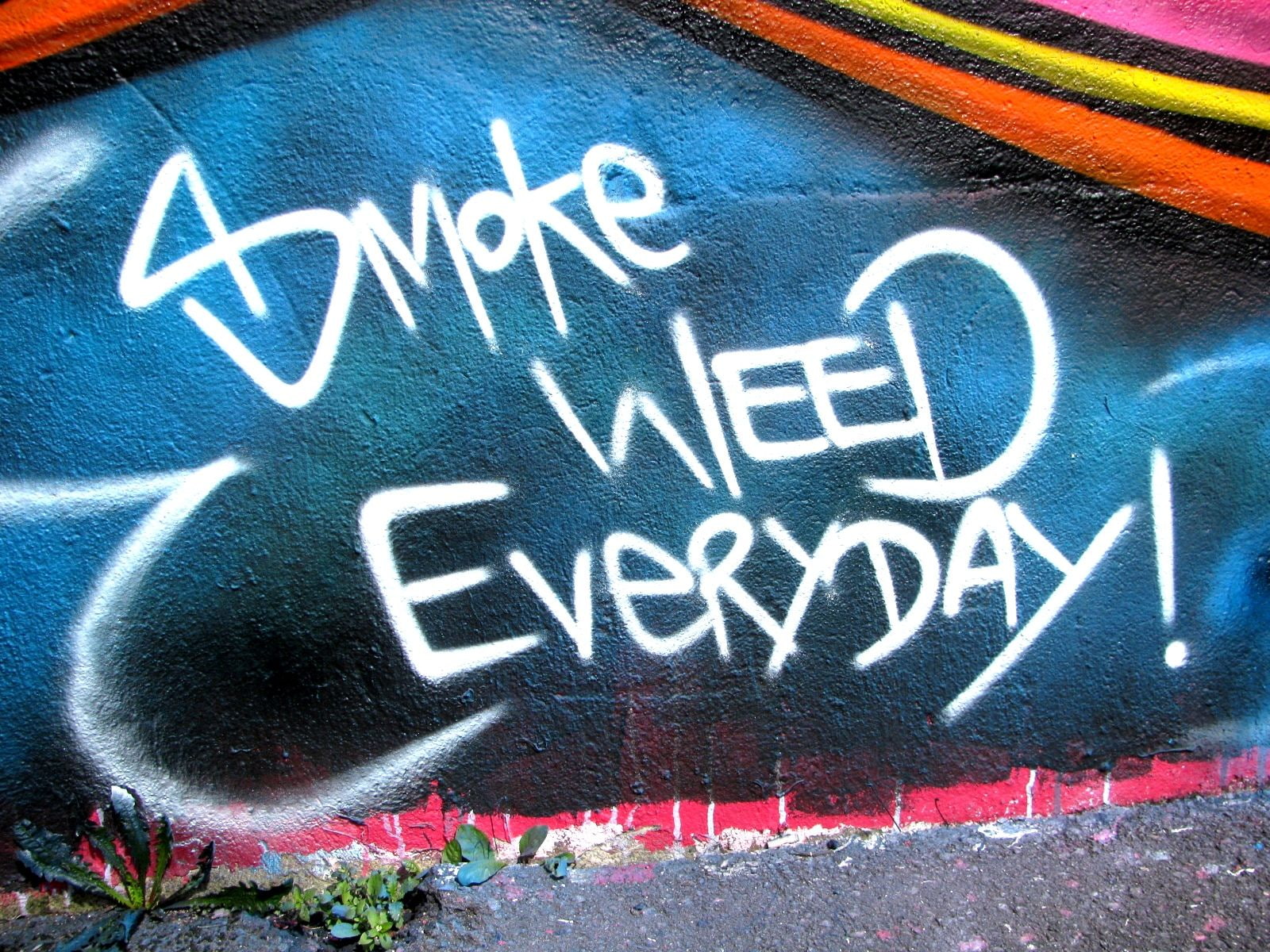 420, 720P, weed, cannabis, marijuana, HD Wallpaper