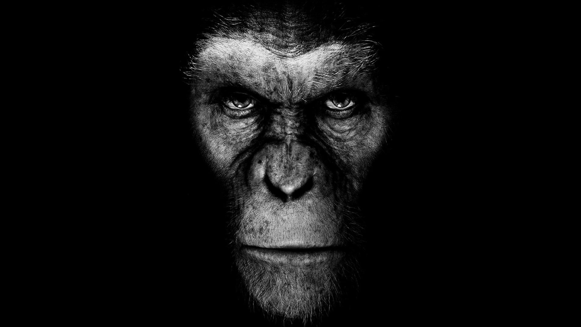 planet, monochrome, Planet of The Apes, space, hd, background, 1080P, x, apes, black, art, planets, HD Wallpaper