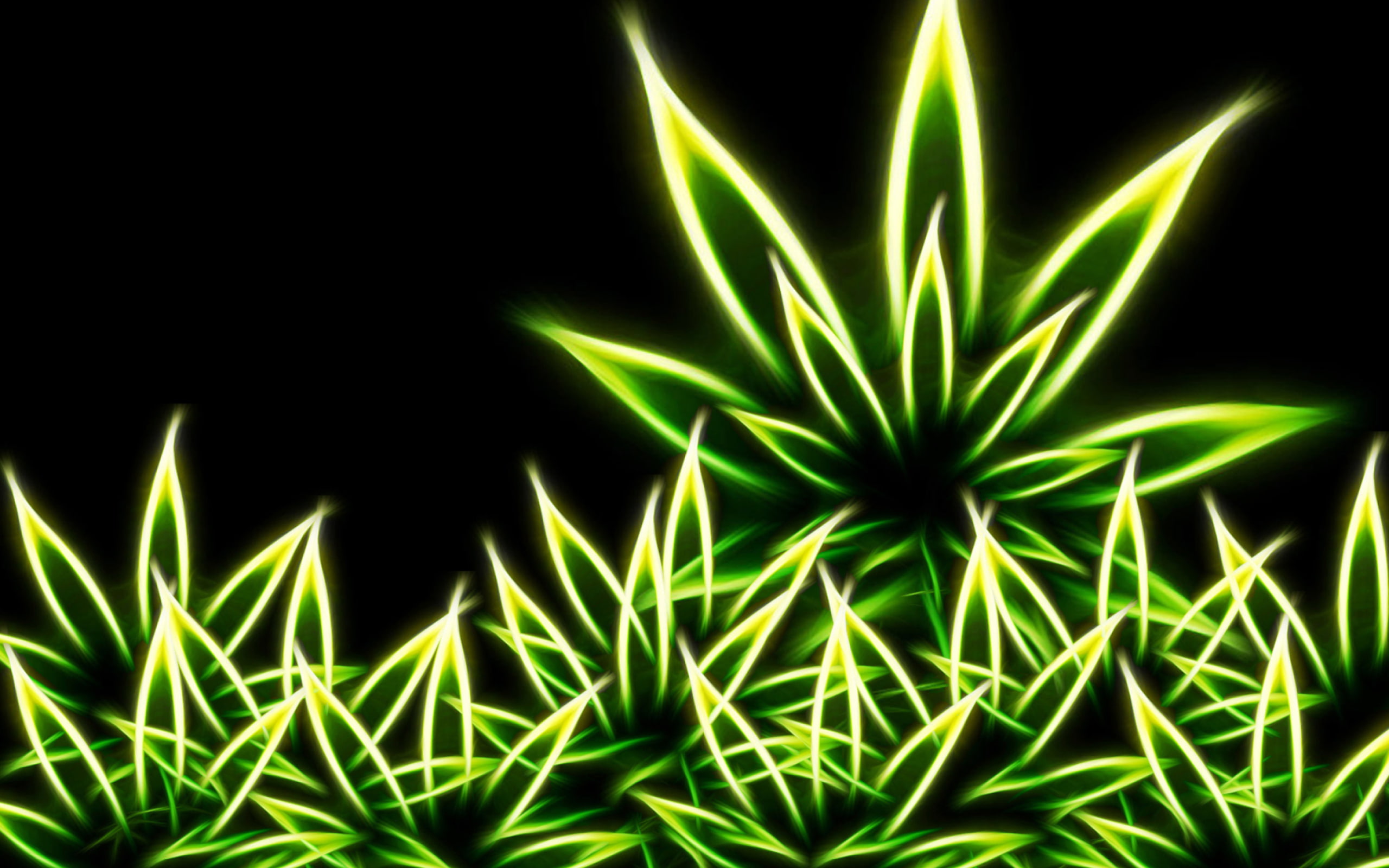 flower, decor, lighted, green, 2K, marijuana, HD Wallpaper