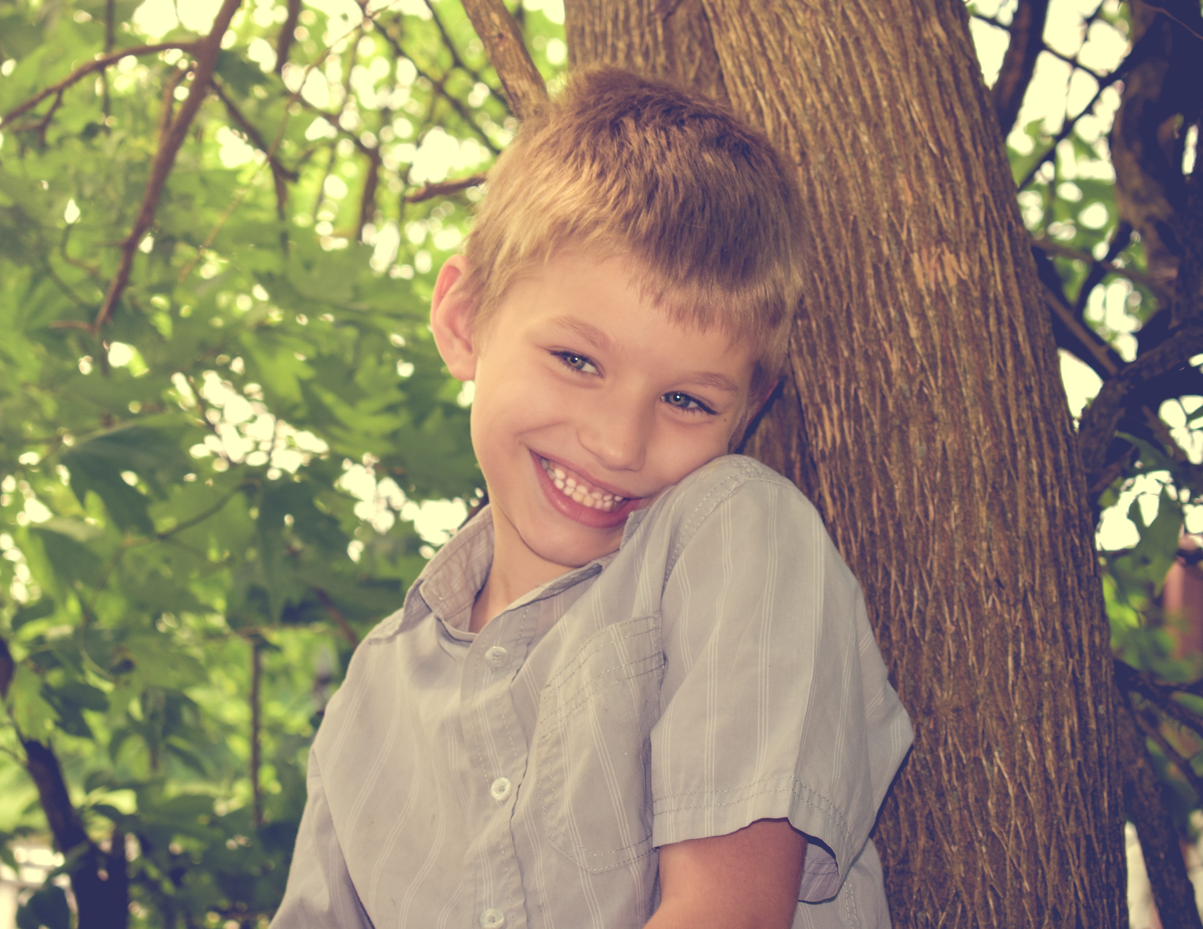 outdoors, childhood, genius, autism, looking at camera, 4K, happy, youth, focus on foreground, emotion, outdoor, innocence, child, kid, toothy smile, tree, HD Wallpaper
