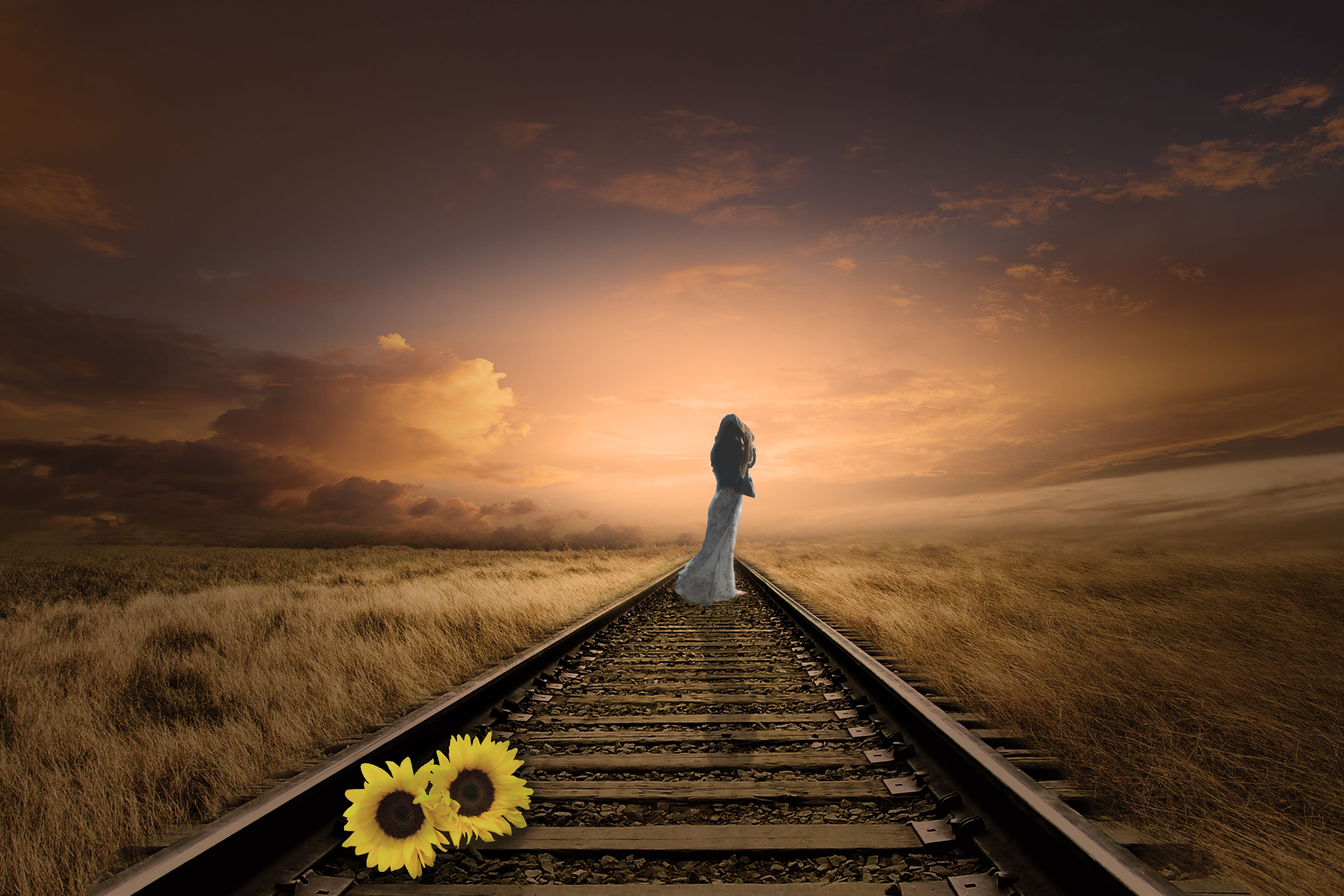 forget, 5K, nature, sky, rail, rail transportation, outdoors, diminishing perspective, sunflower, woman, scenics - nature, composing, lighting, go forward, HD Wallpaper