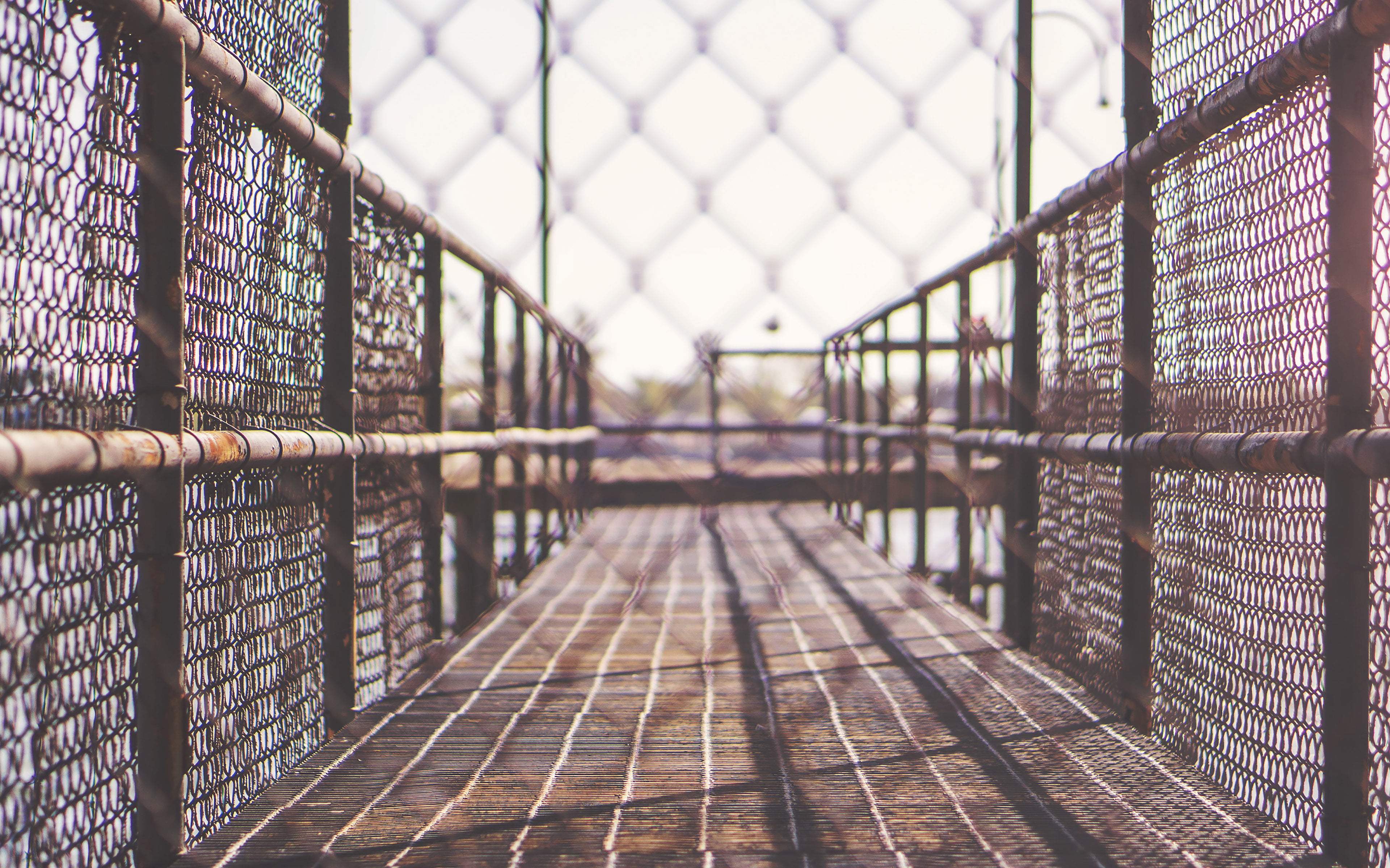 grid, pattern, school, no people, safety, art, security, built structure, chainlink fence, 4K, nature, diminishing perspective, jungle, fence, barrier, HD Wallpaper