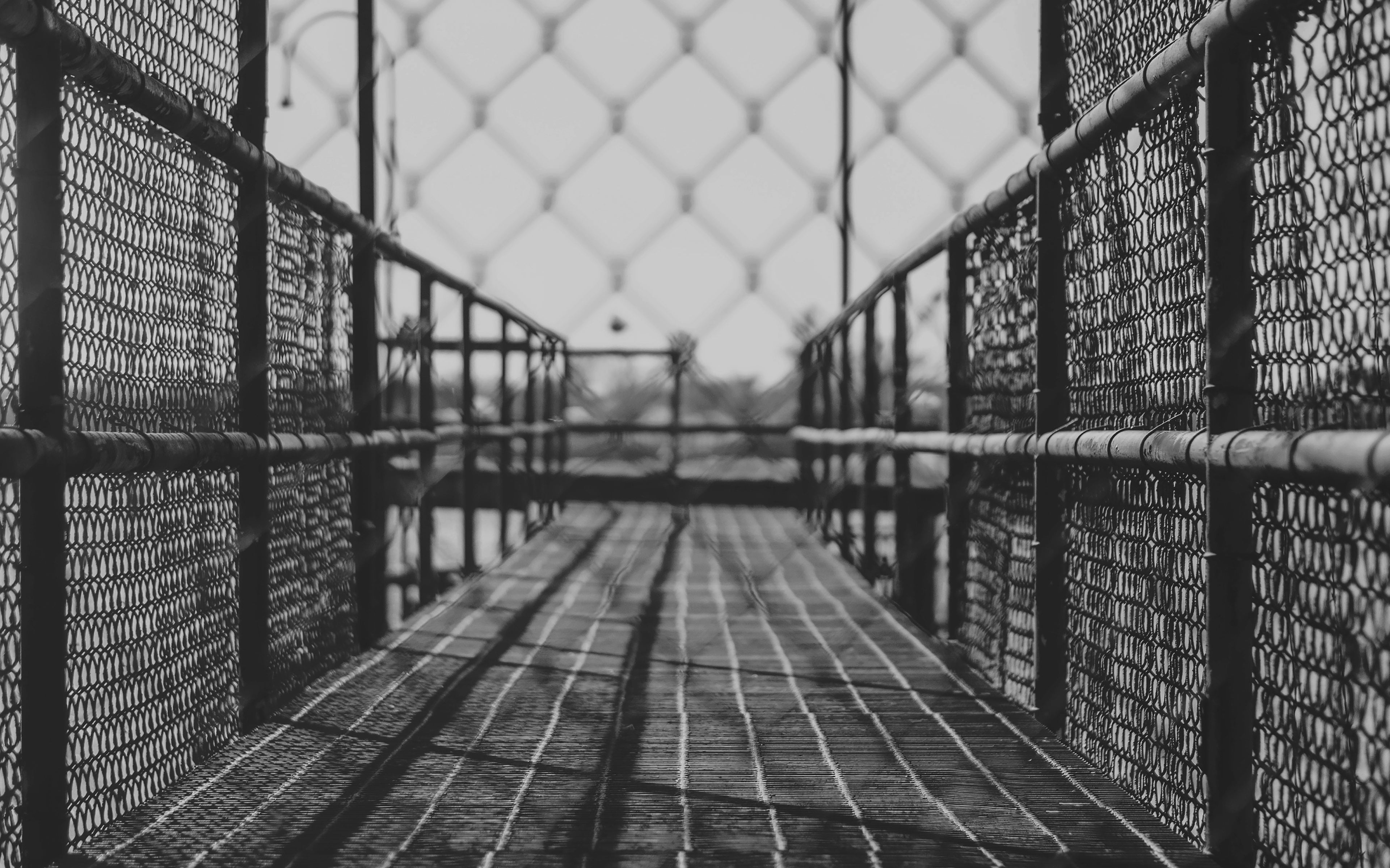 fence, no people, bw, 4K, the way forward, barrier, gym, day, school, metal, boundary, close-up, safety, architecture, built structure, jungle, security, HD Wallpaper