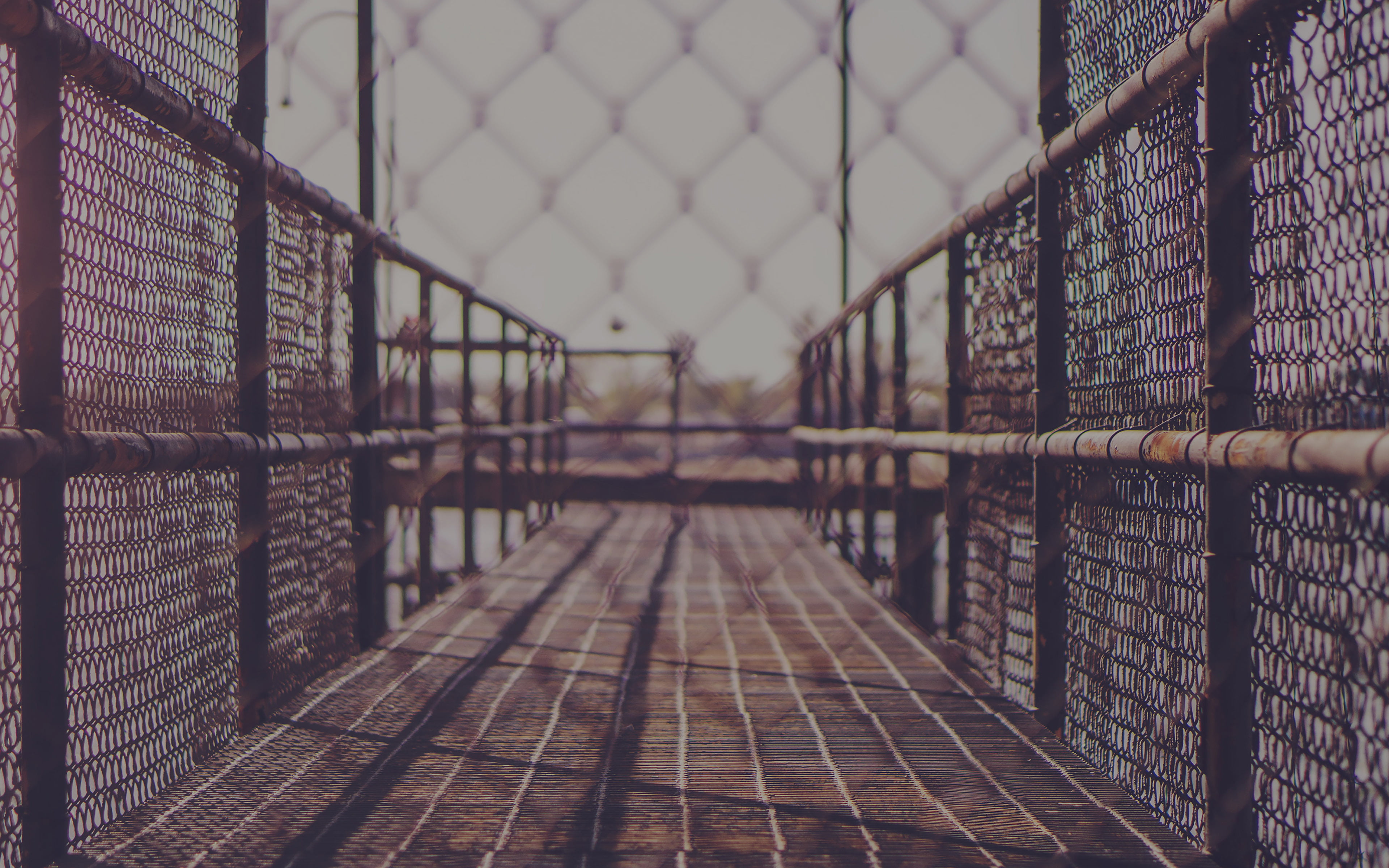 4K, chainlink fence, pattern, boundary, fence, metal, protection, bridge, day, city, no people, art, gym, grid, jungle, long, architecture, the way forward, HD Wallpaper