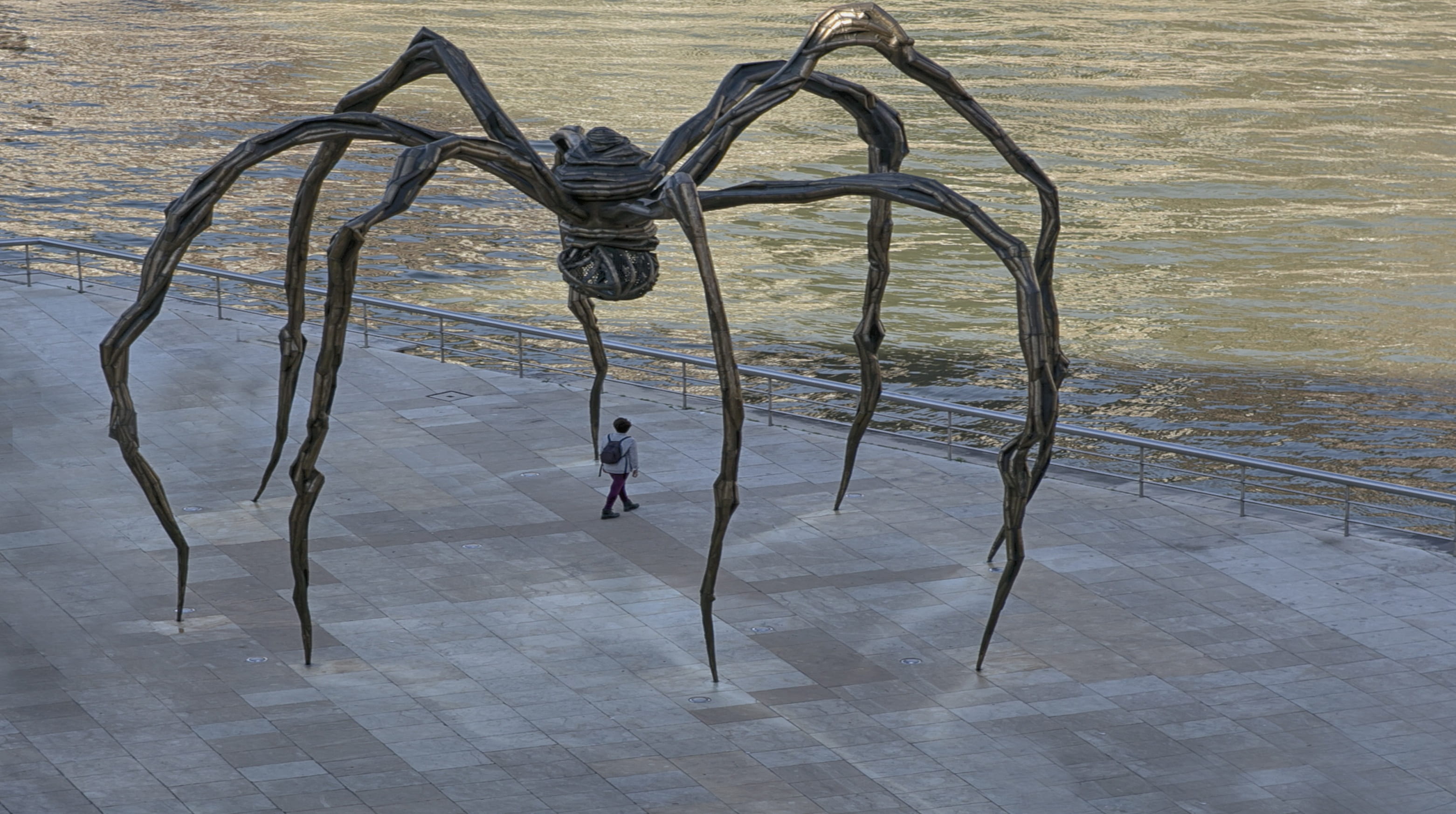 spider, railing, giant spider, nature, no people, sea, safety, sport, protection, security, guggemheim, guggenheim museum, high angle view, outdoors, water, HD Wallpaper
