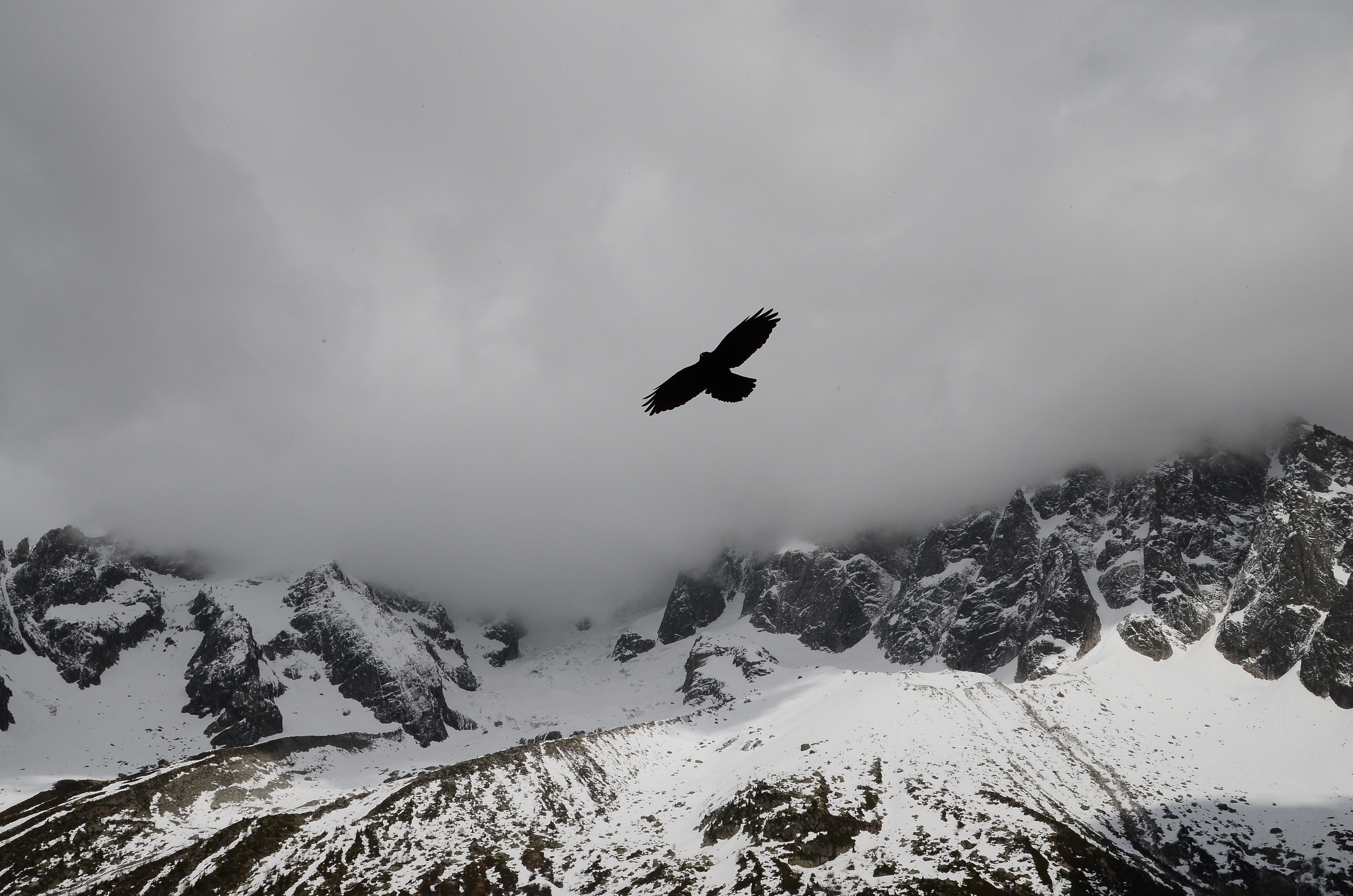fog, cloud - sky, snowcapped mountain, tree, environment, mountain range, dom, sport, cloudy, snow, nature, beauty in nature, flight, cold, daw, no people, HD Wallpaper