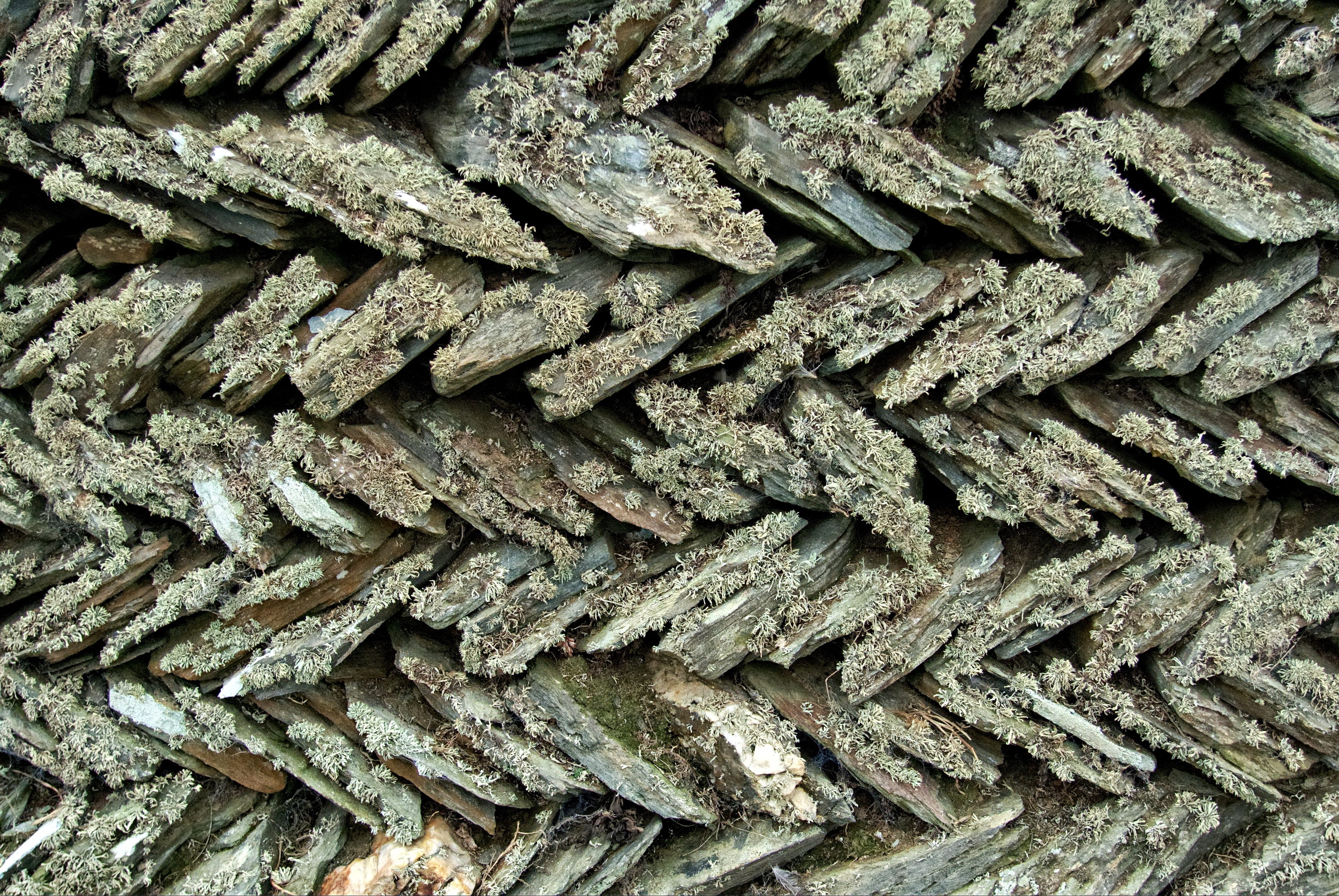 weathered, old, angled, lichen, close-up, no people, chevron, 2K, ancient, run-down, pattern, vernacular, textured, natural, repetition, wall, slanted, HD Wallpaper