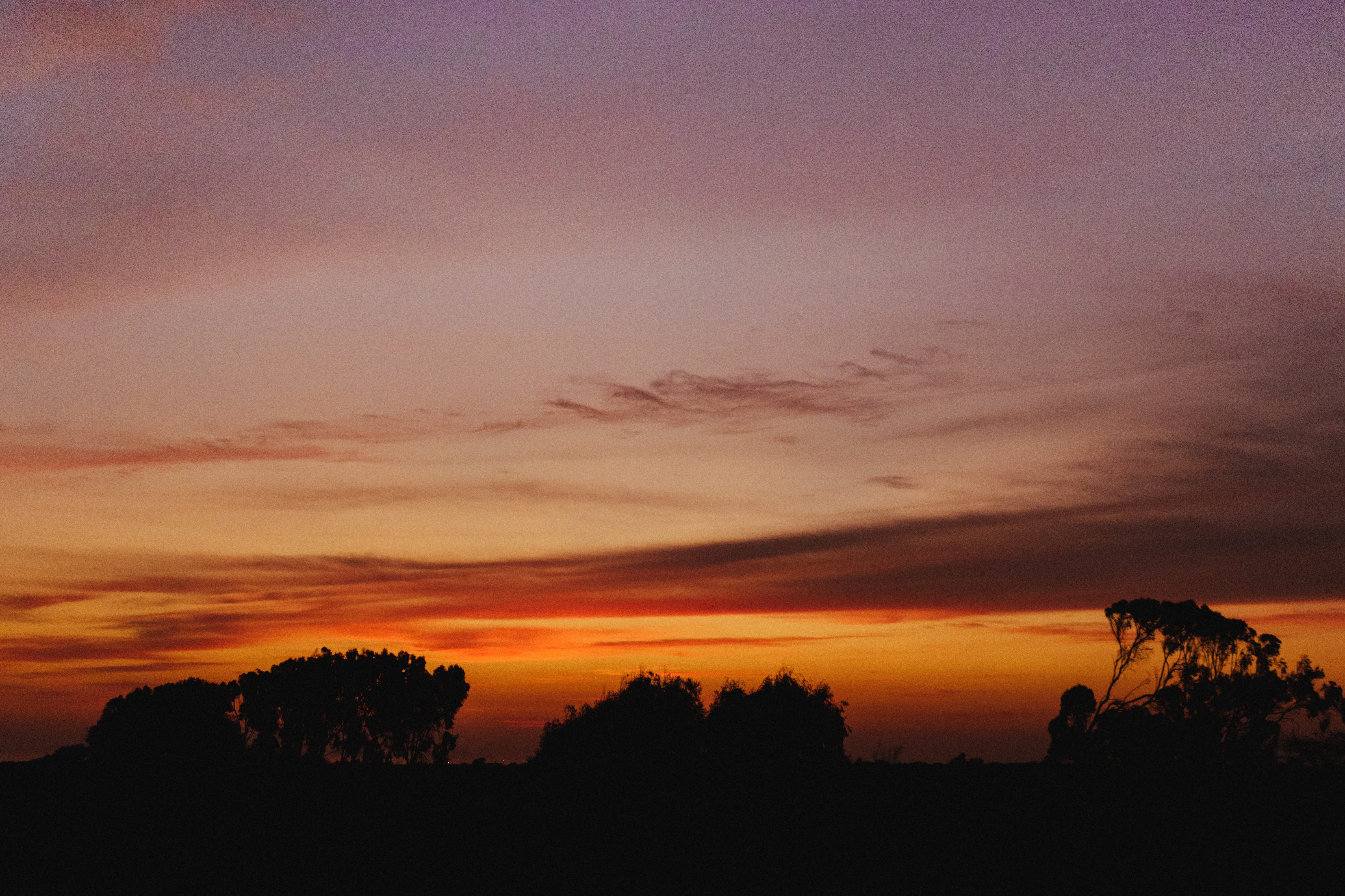 clouds, environment, magic, dramatic sky, non-urban scene, romantic sky, sunset, silhouette, awe, tree, outdoors, tranquil scene, beauty in nature, 5K, HD Wallpaper