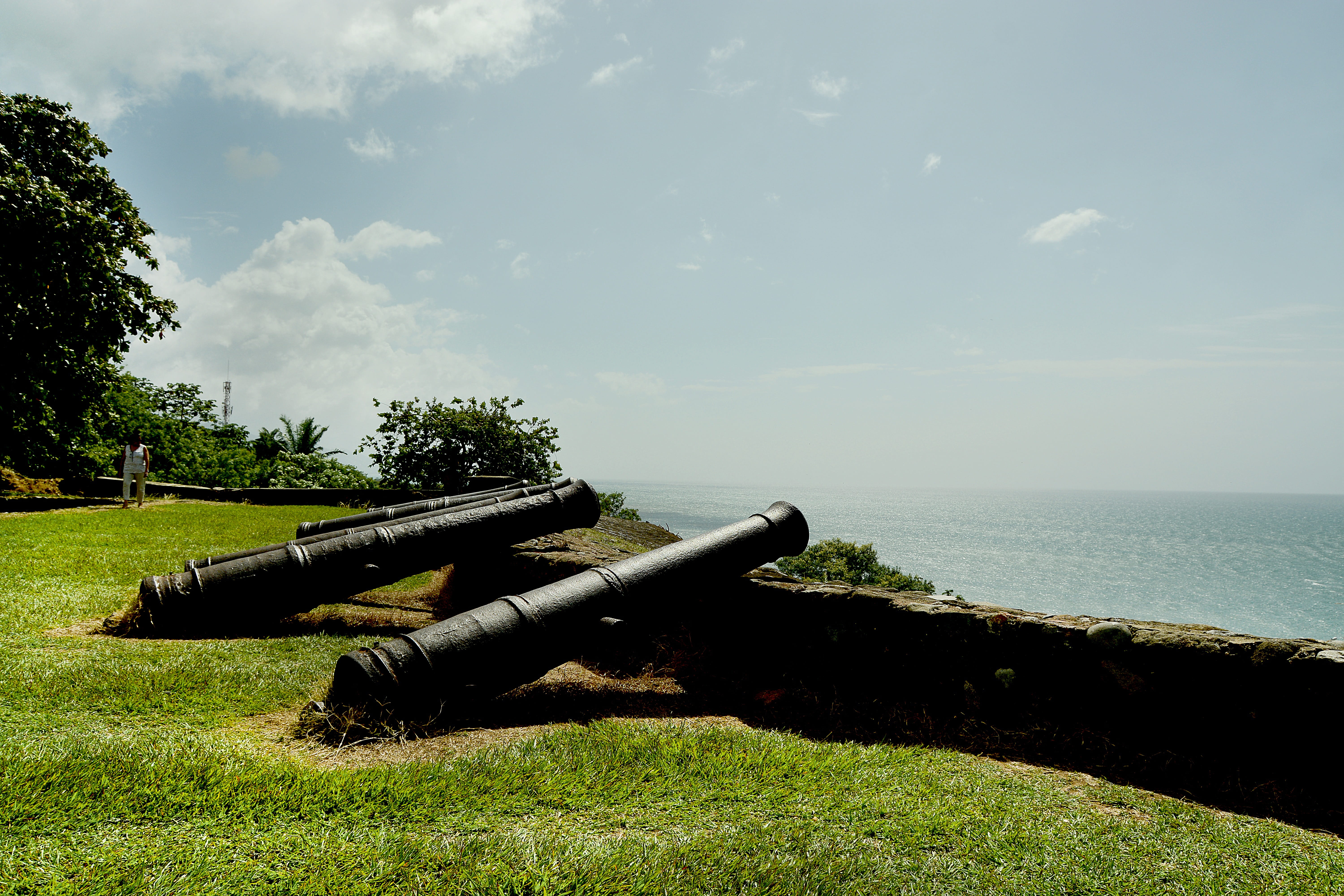 ihah, nature, grass, Honduras, sea, sky, green color, honduras, conflict, plant, barbara, tree, beauty in nature, strong, war, no people, weapon, fighting, HD Wallpaper