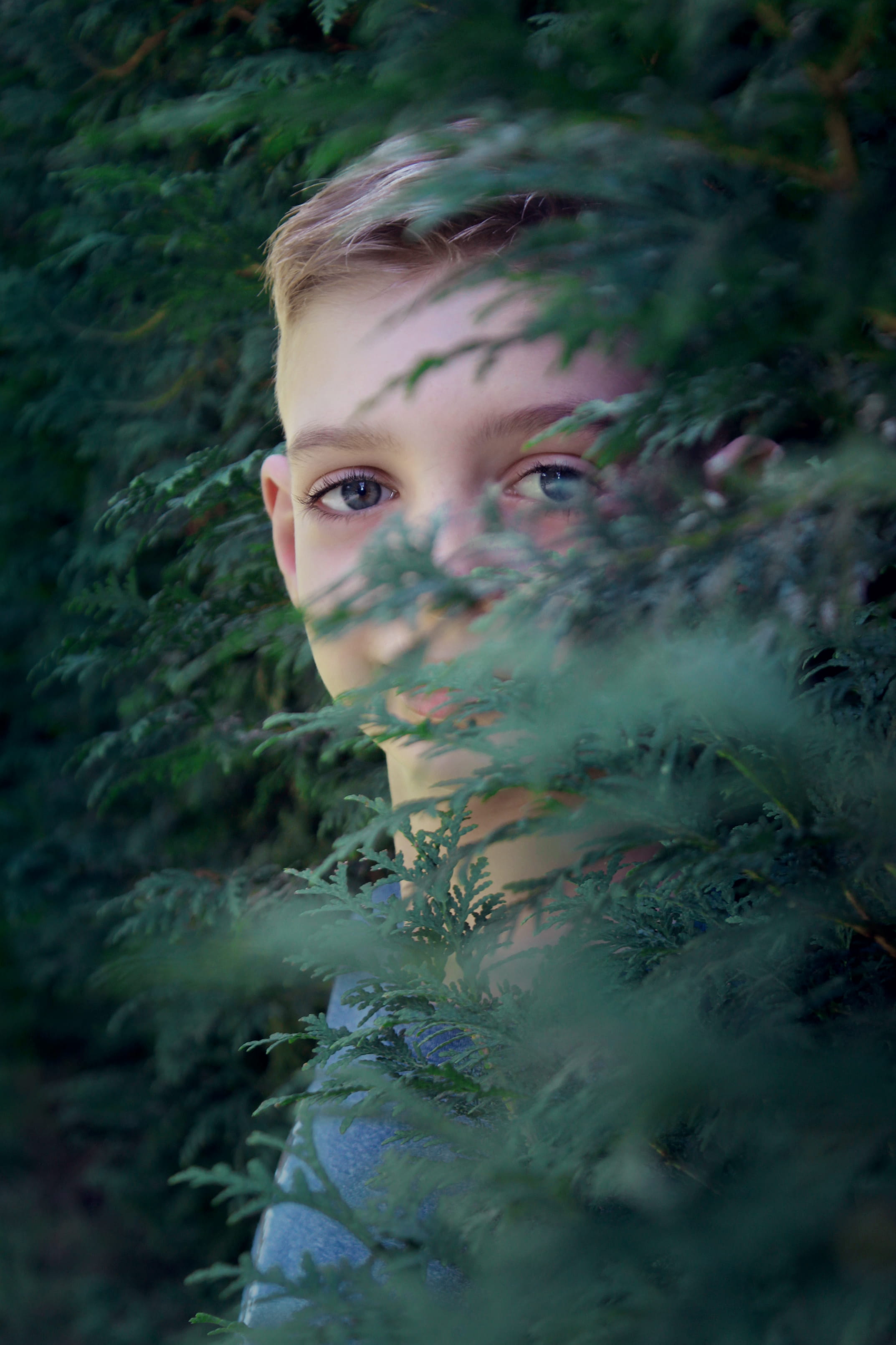 nature, looking at camera, selective focus, plant, green, united states, leisure activity, outdoors, boy, men, 2K, eyes, childhood, children, looking, Phone HD Wallpaper