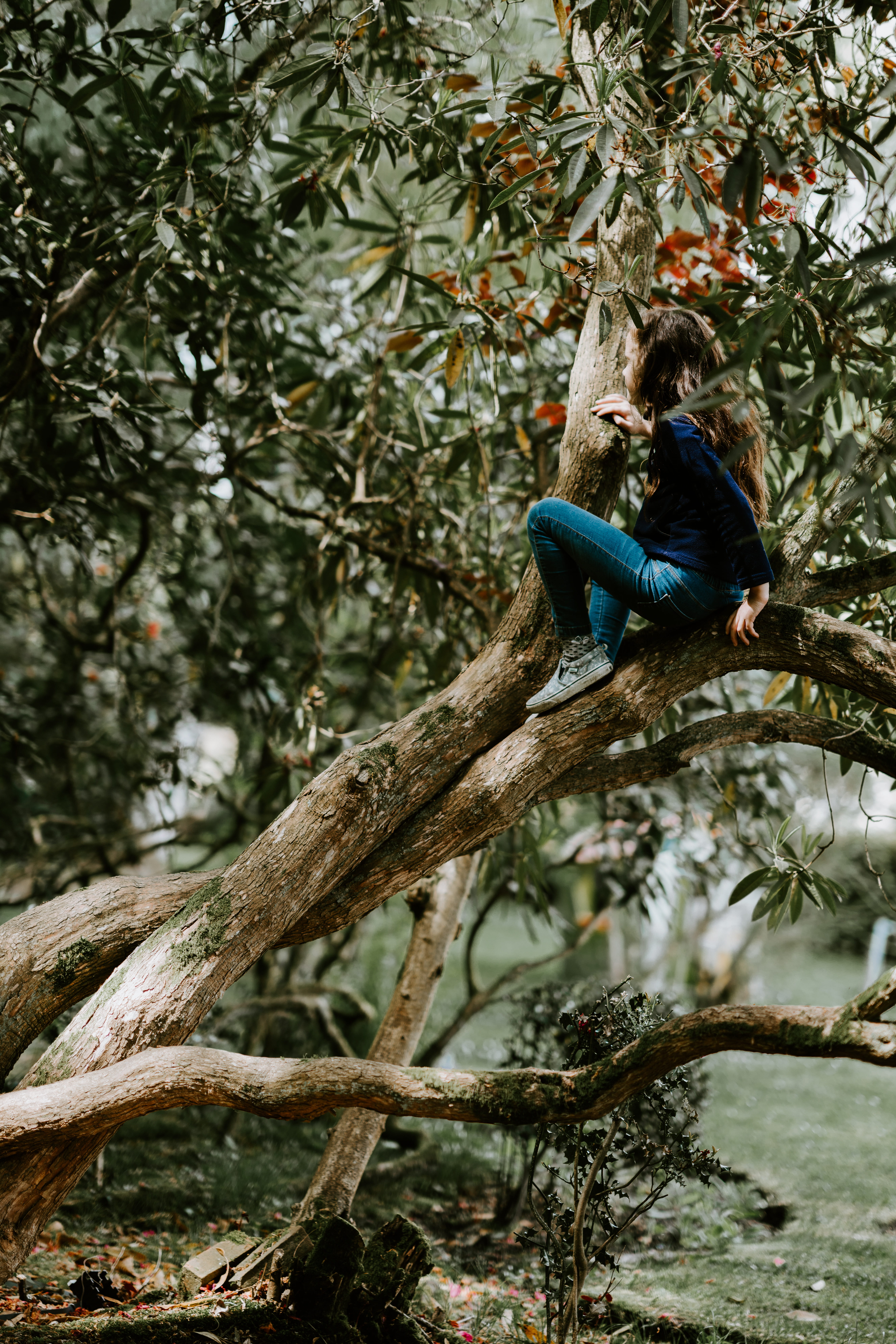 focus on foreground, game, outdoor, beauty in nature, animal, sitting, denim, perching, animal themes, daytime, bird, growth, playing game, one animal, Phone HD Wallpaper