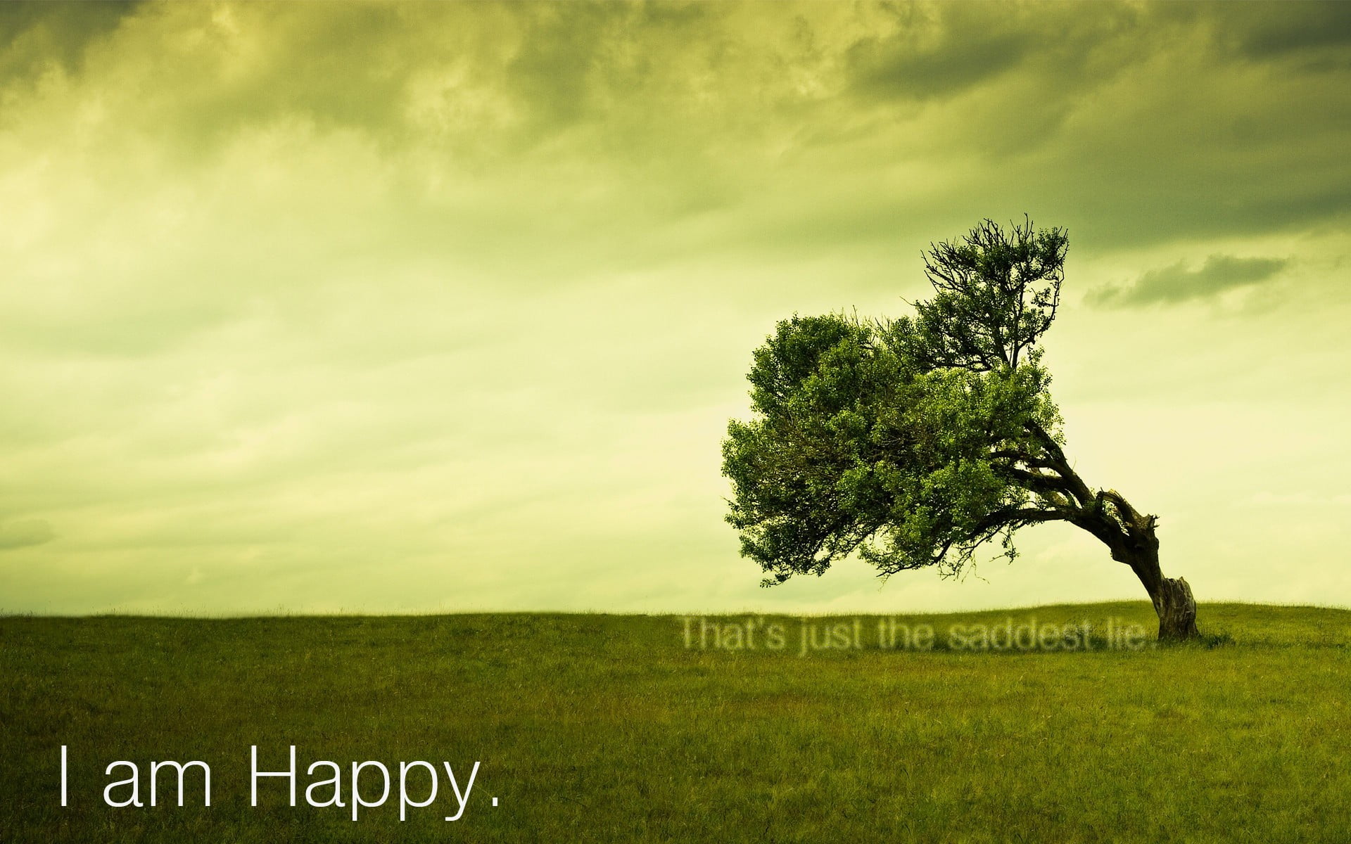 landscape, growth, happy, trees, leafed, overlay, day, information, environment, communication, plant, 1080P, nature, field, green color, grass, land, HD Wallpaper