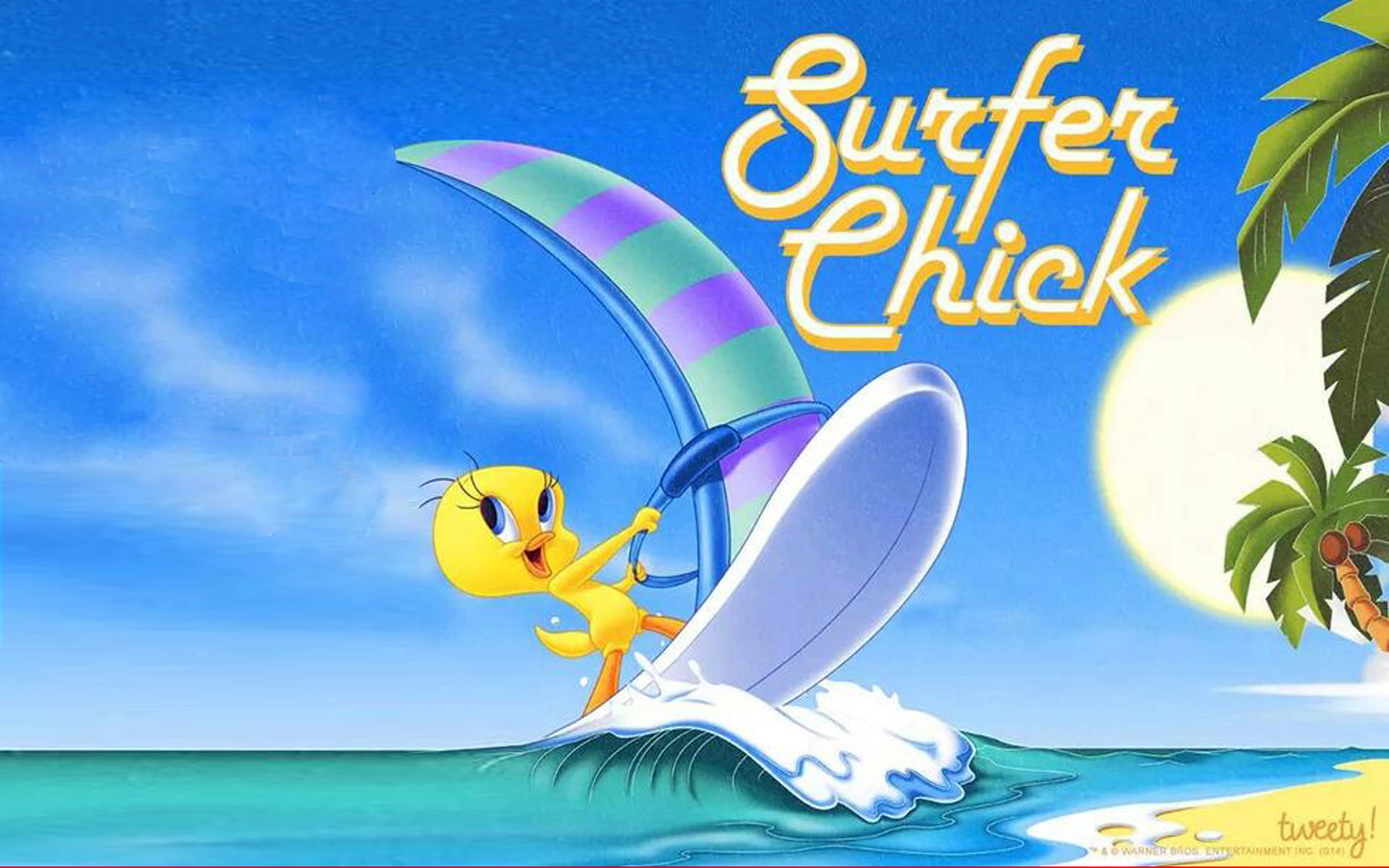 tweety, screen, full, hd, bird, sea, 1080P, sail, desktop, waves, lonnie, cartoon, tounes, surfer, HD Wallpaper