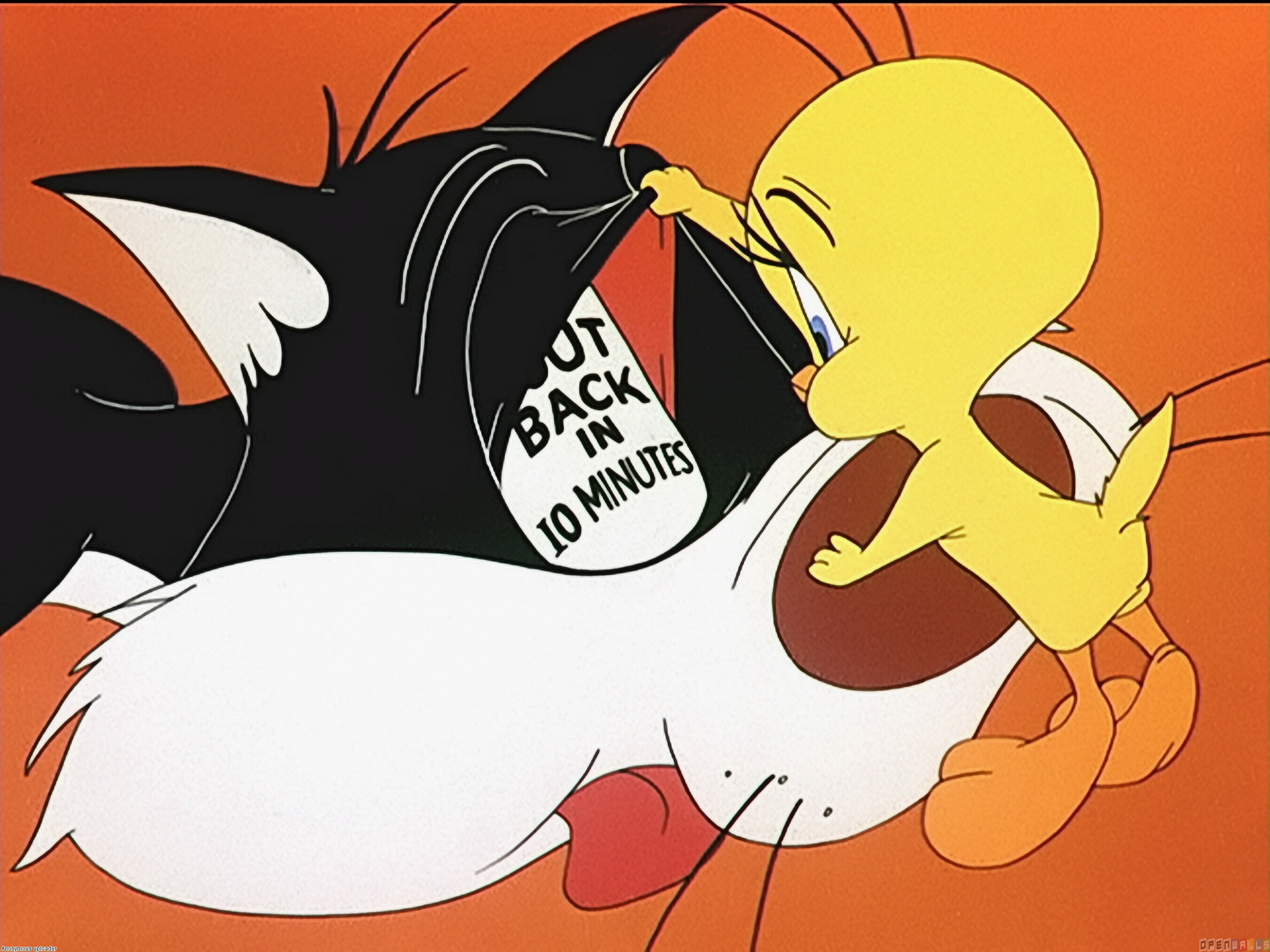 tunes, looney, sylvester, 2K, tweety, HD Wallpaper