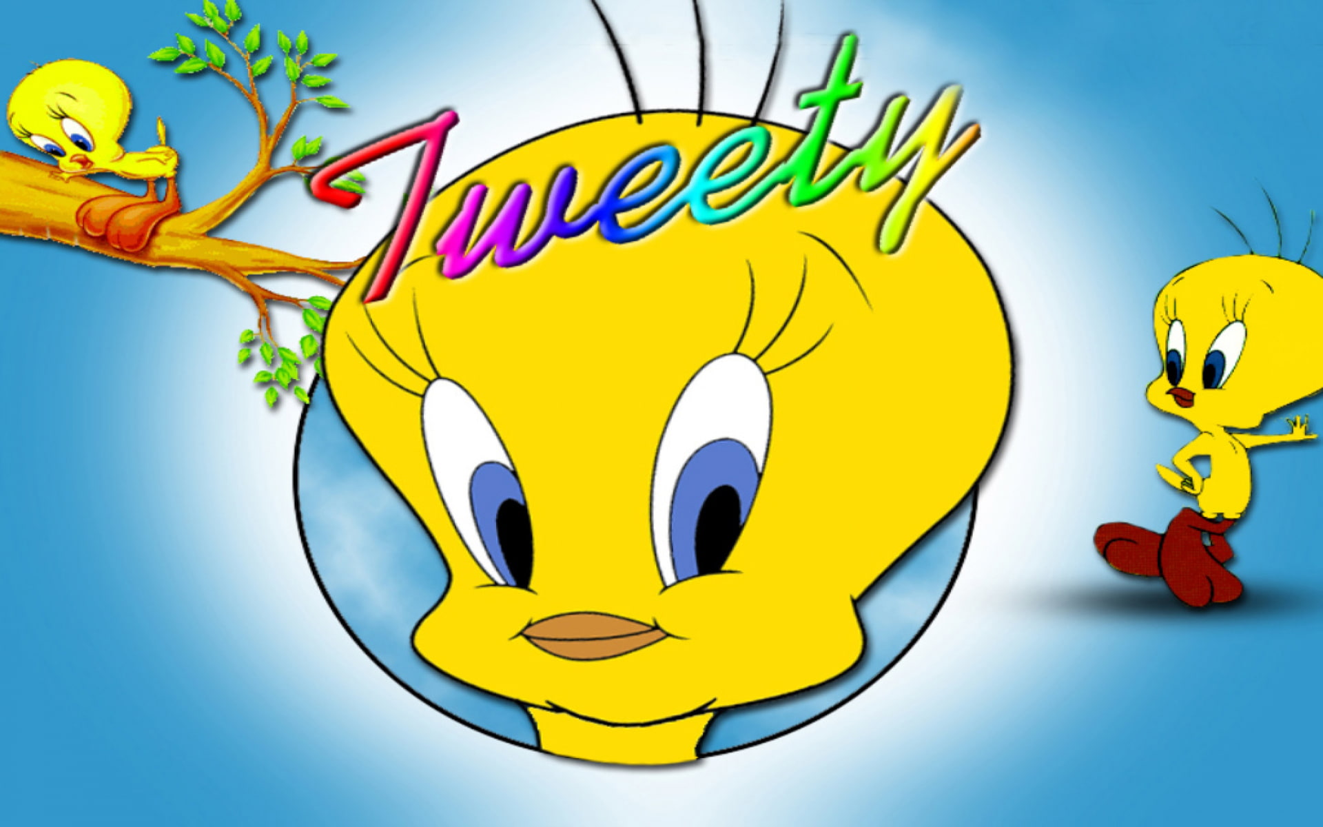 tweety, 1080P, bird, cartoon, mobile, phones, hd, laptop, tablet, HD Wallpaper