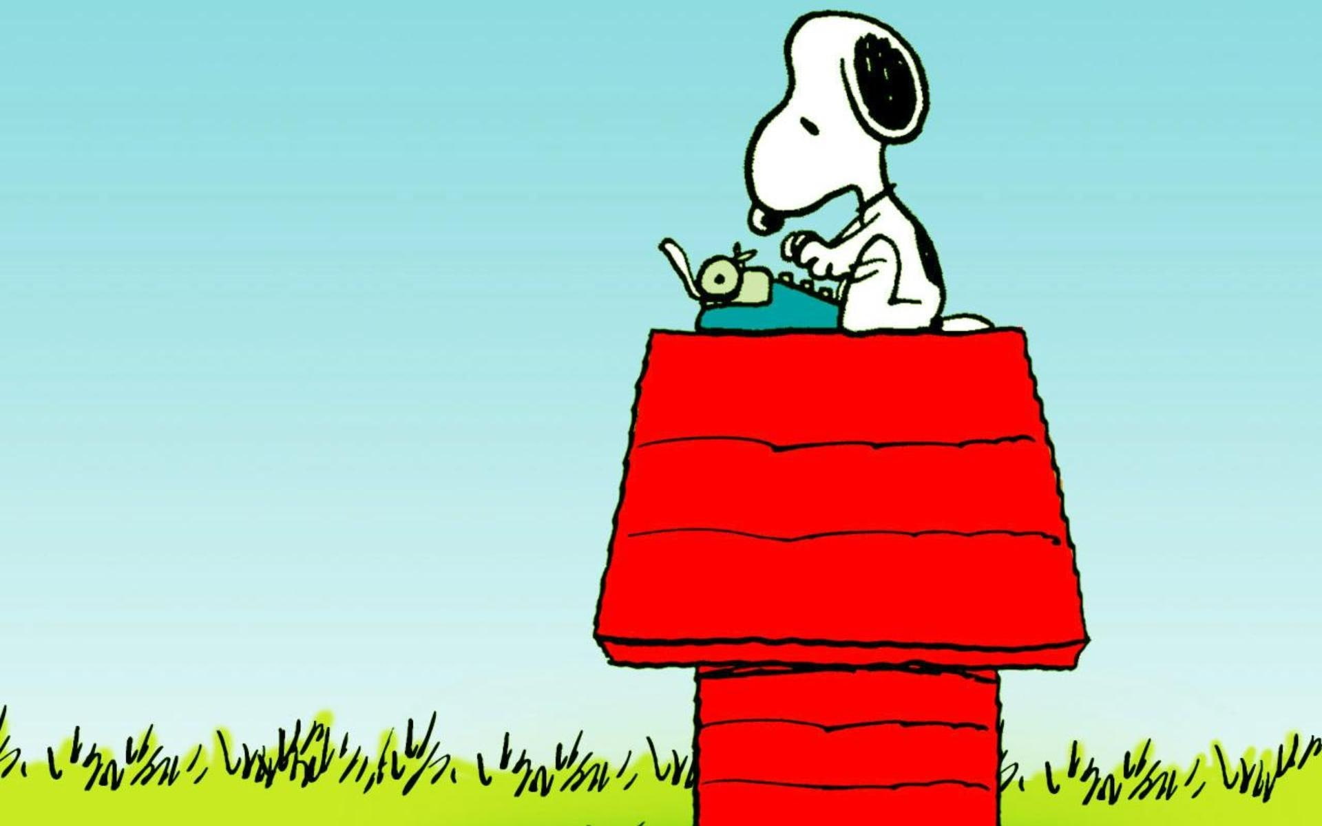 cartoon, snoopy, network, 1080P, HD Wallpaper