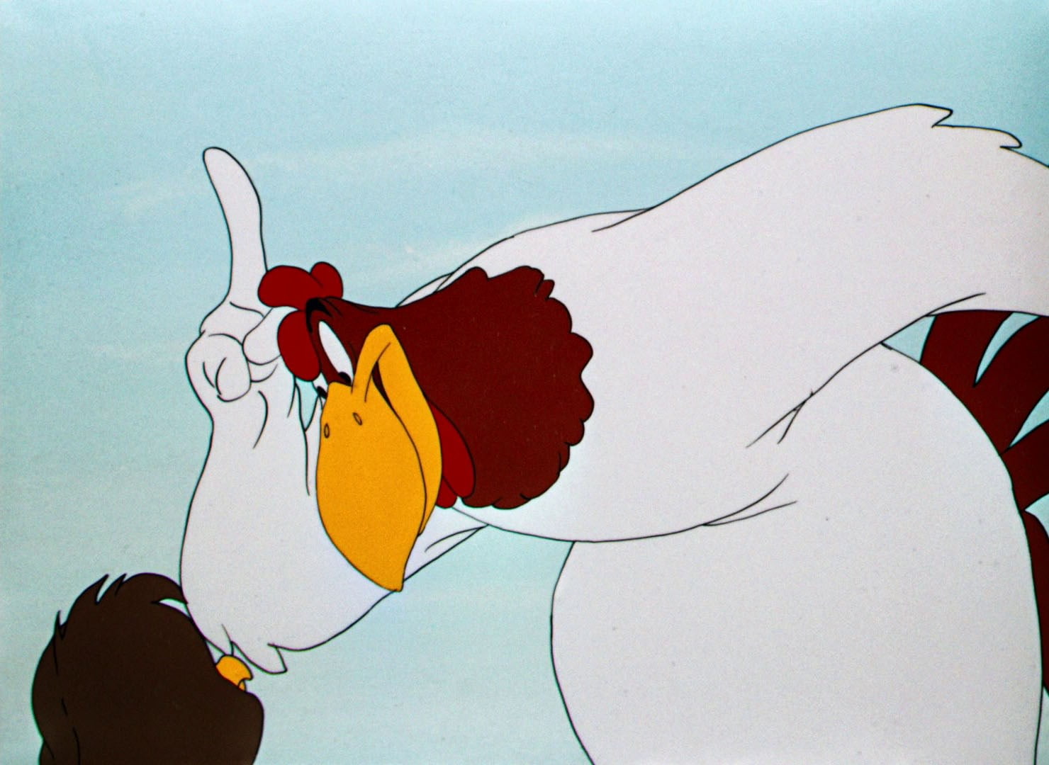 720P, foghorn leghorn, HD Wallpaper