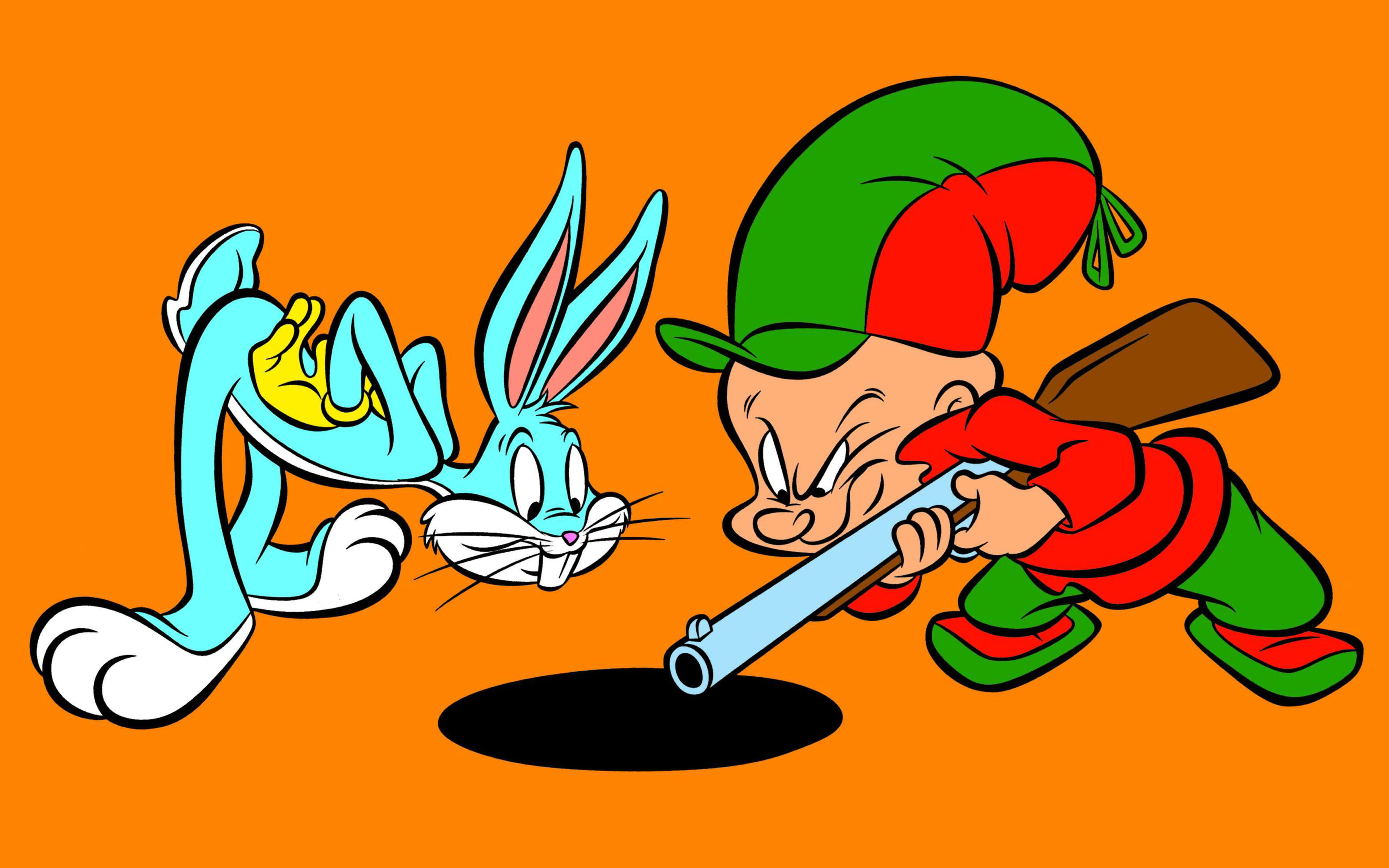 orange color, vertebrate, vegetable, fudd, yellow, looney, people, equipment, desktop, backgrounds, tunes, art and craft, cartoons, red, bunny, close-up, HD Wallpaper