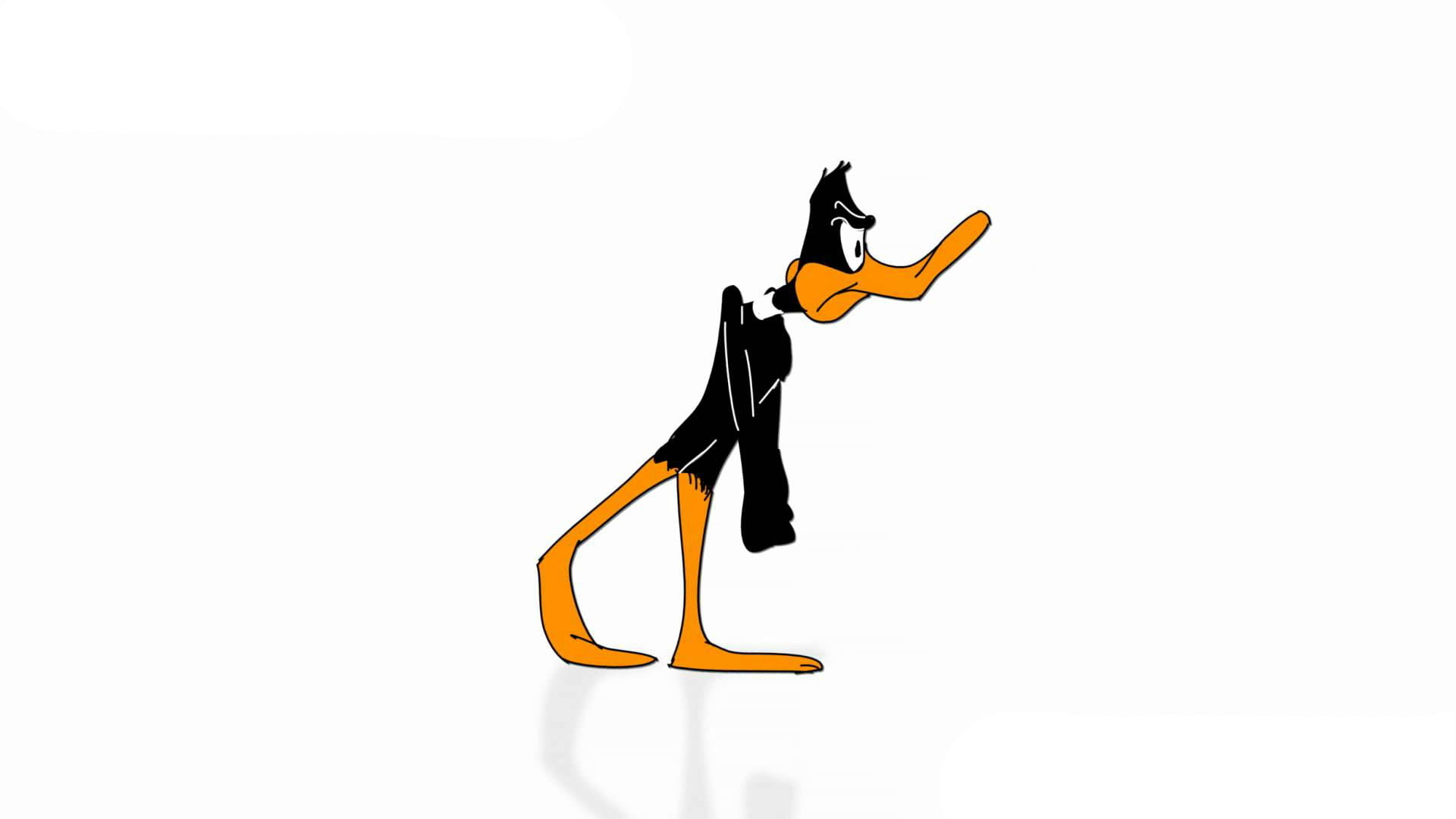 1080P, looney, daffy, toons, HD Wallpaper