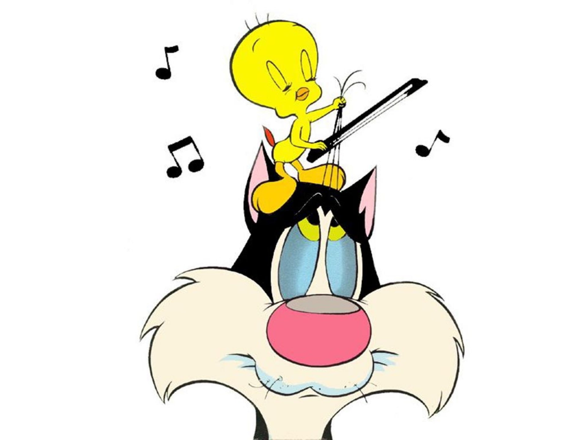 tunes, sylvester, looney, 1080P, tweety, HD Wallpaper