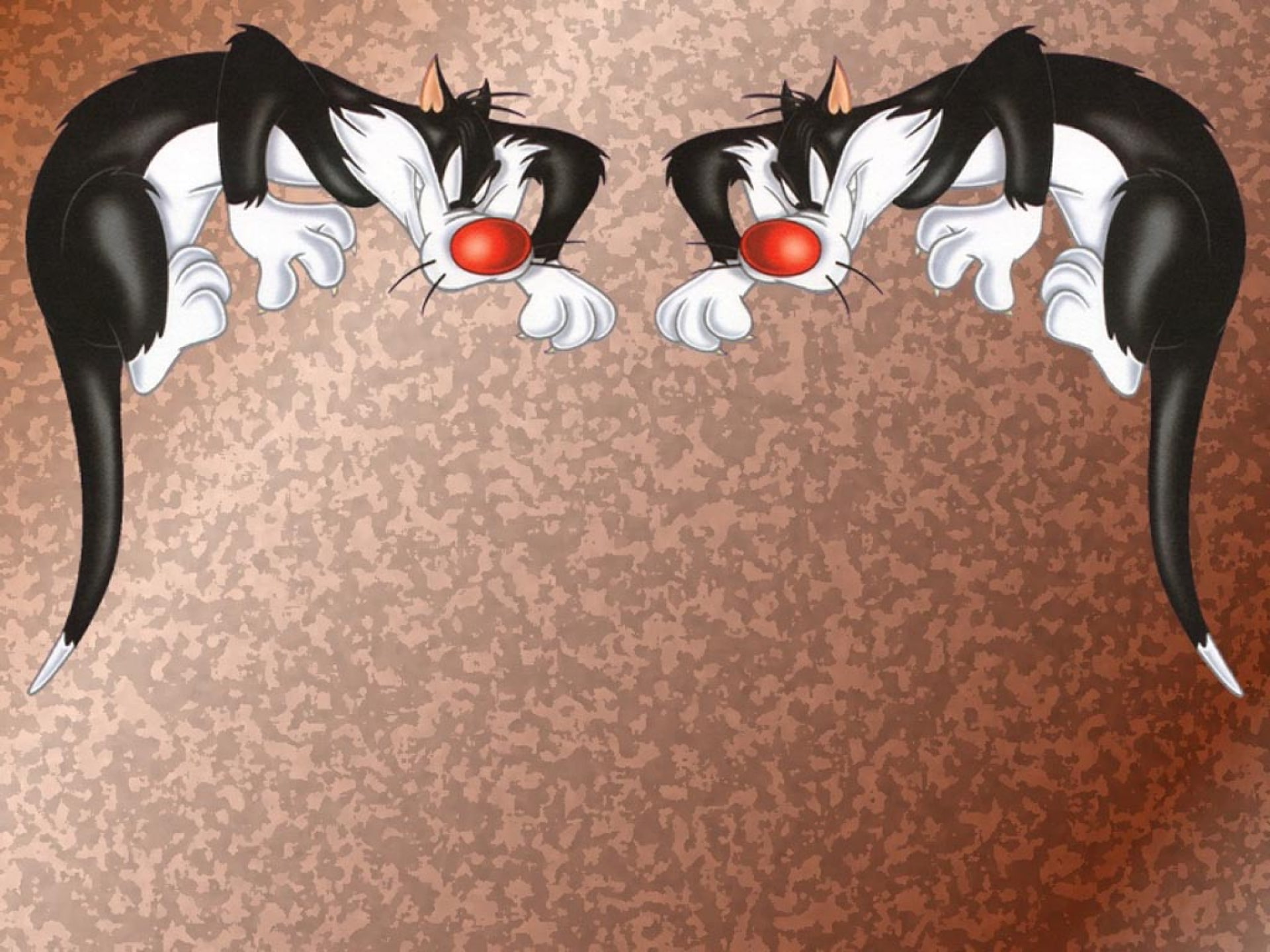 tunes, 1080P, sylvester, looney, HD Wallpaper