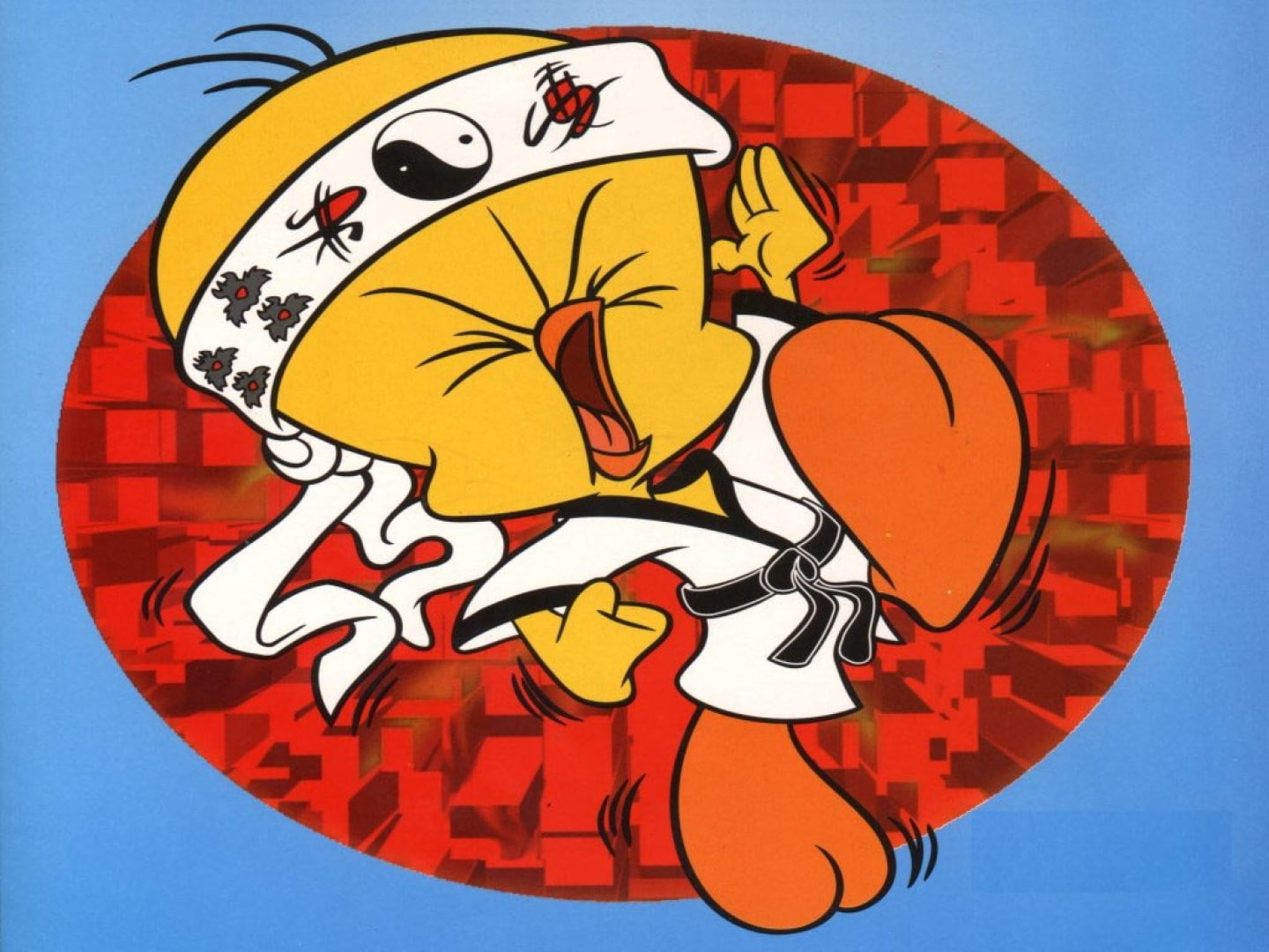 720P, tweety pie, HD Wallpaper