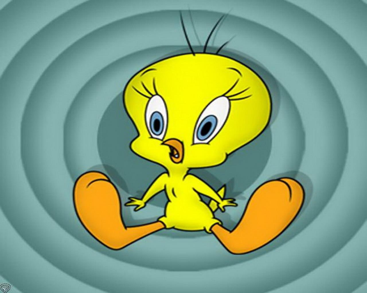 720P, tweety pie, HD Wallpaper