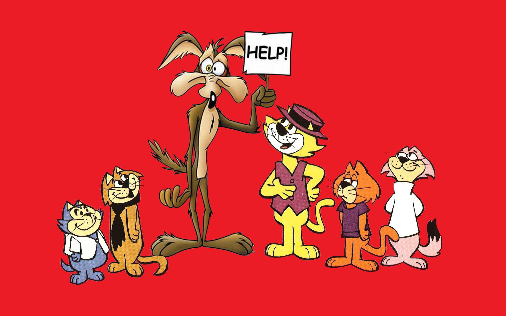 wile coyote, 1080P, HD Wallpaper
