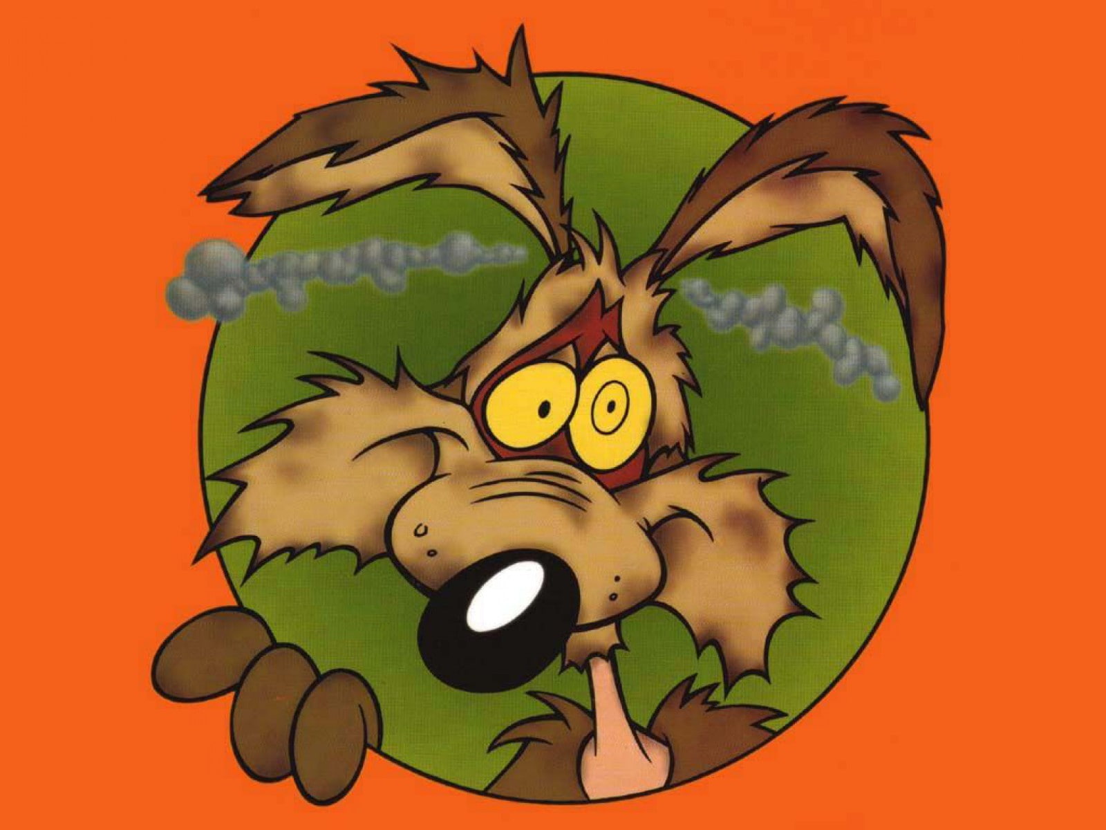 coyote, wile, 720P, looney, HD Wallpaper