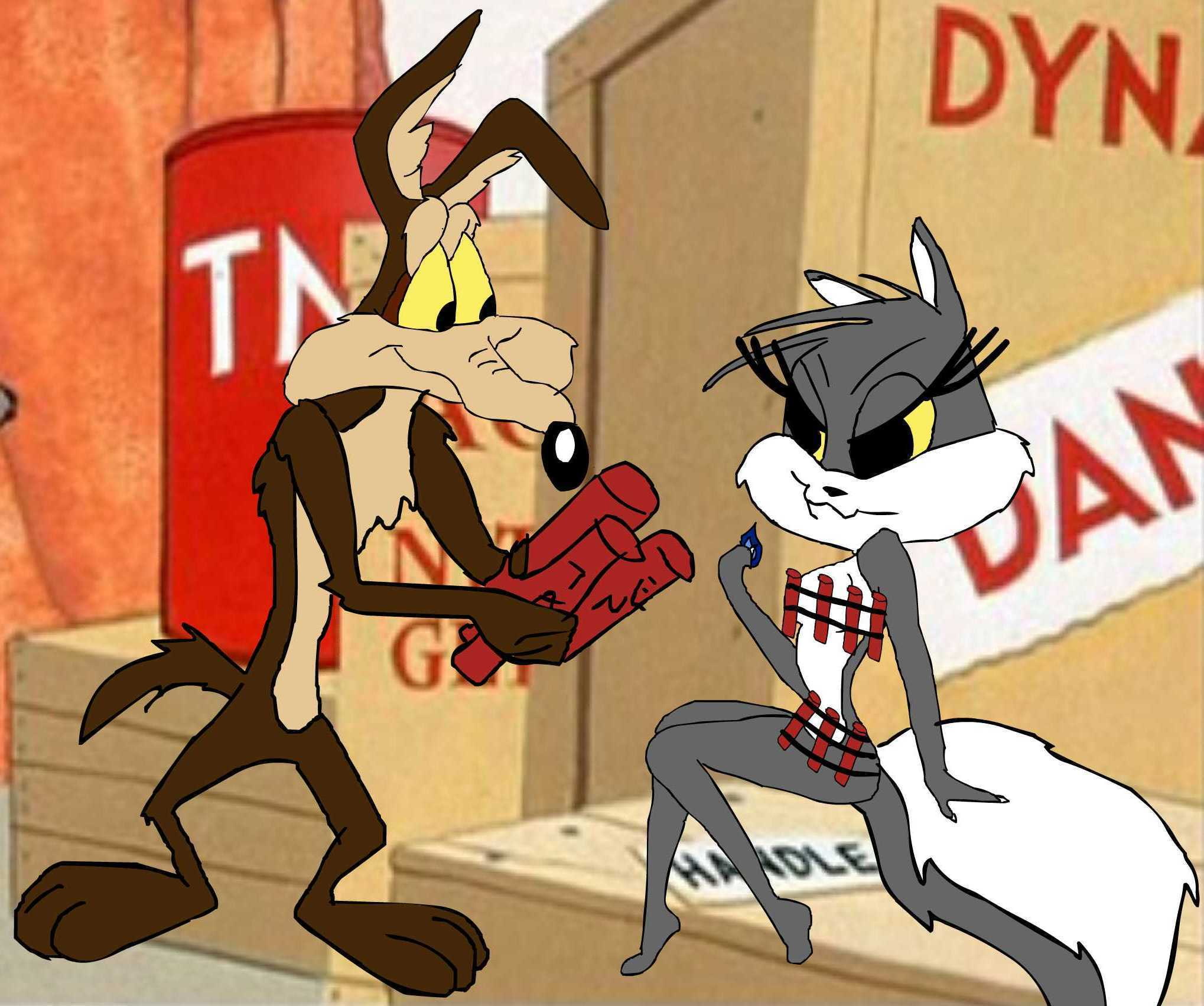 looney, coyote, 1080P, wile, HD Wallpaper