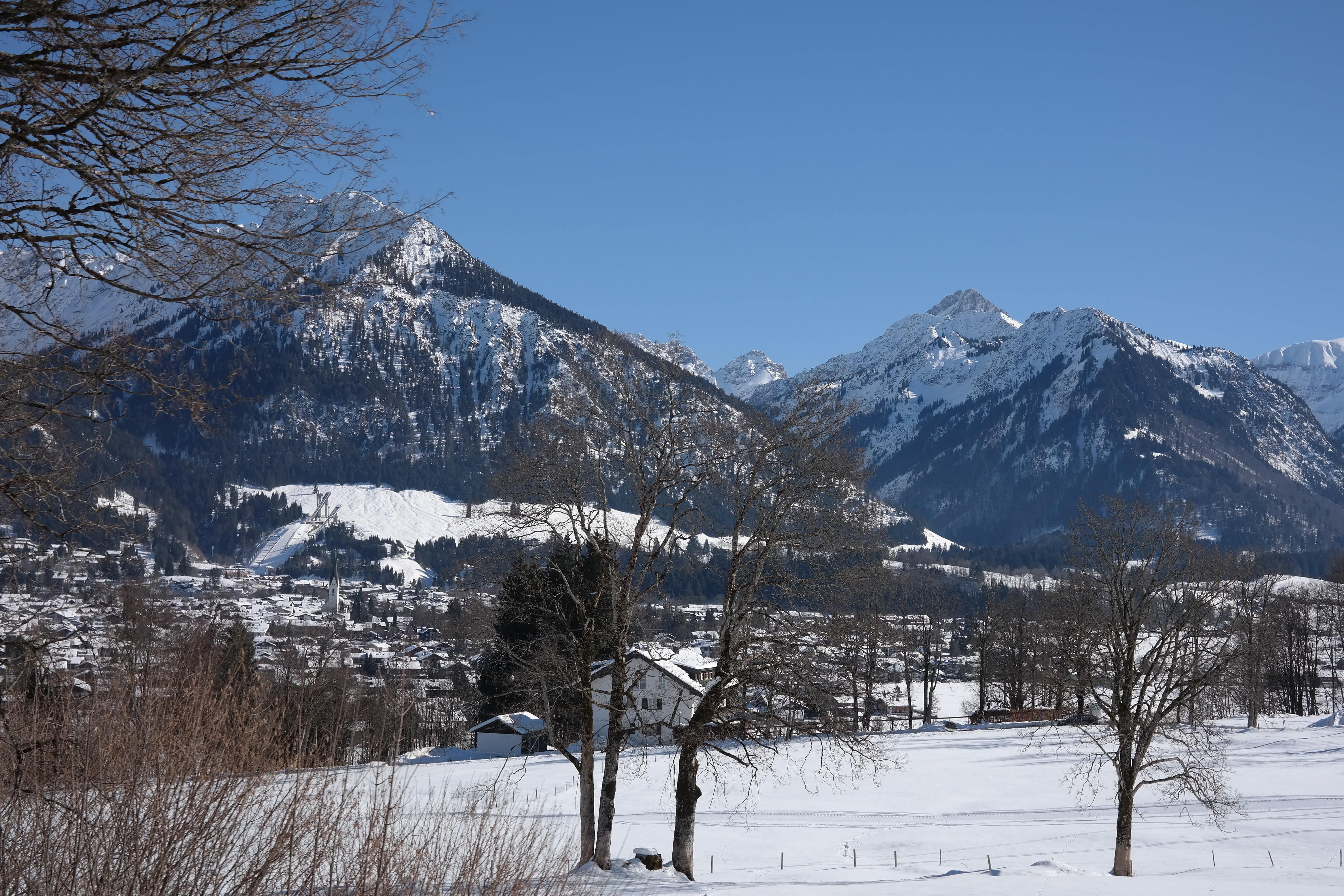 snowcapped mountain, clear sky, pine tree, tree, plant, allgäu, shadow mountain, environment, outdoors, ski jump, geis foot, small kleinwalsertal, foghorn, HD Wallpaper
