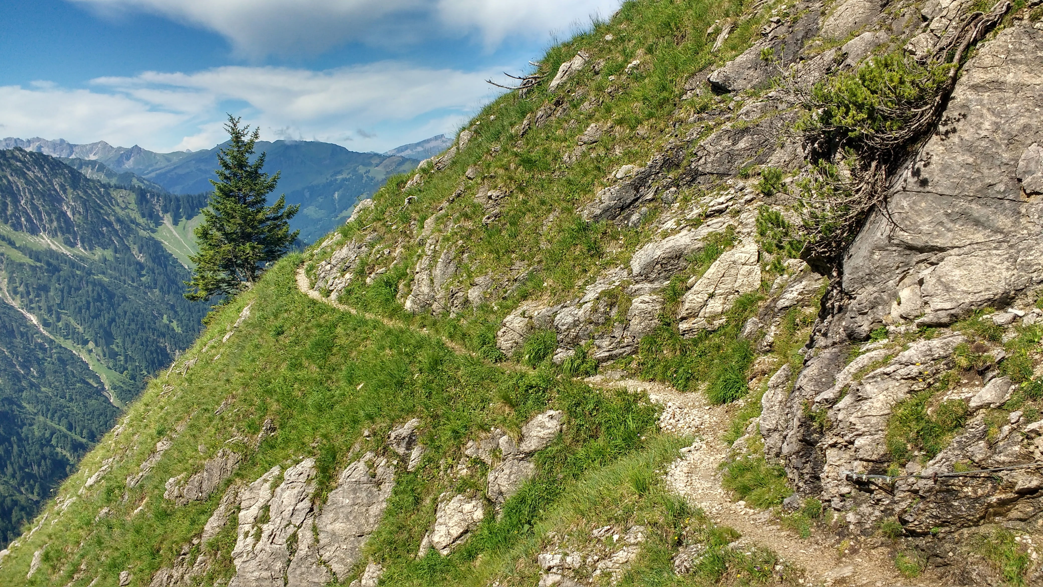plant, hike, summer, beauty in nature, sky, coniferous tree, glide path, day, tranquility, nature, green color, valley, rock, environment, non-urban scene, HD Wallpaper
